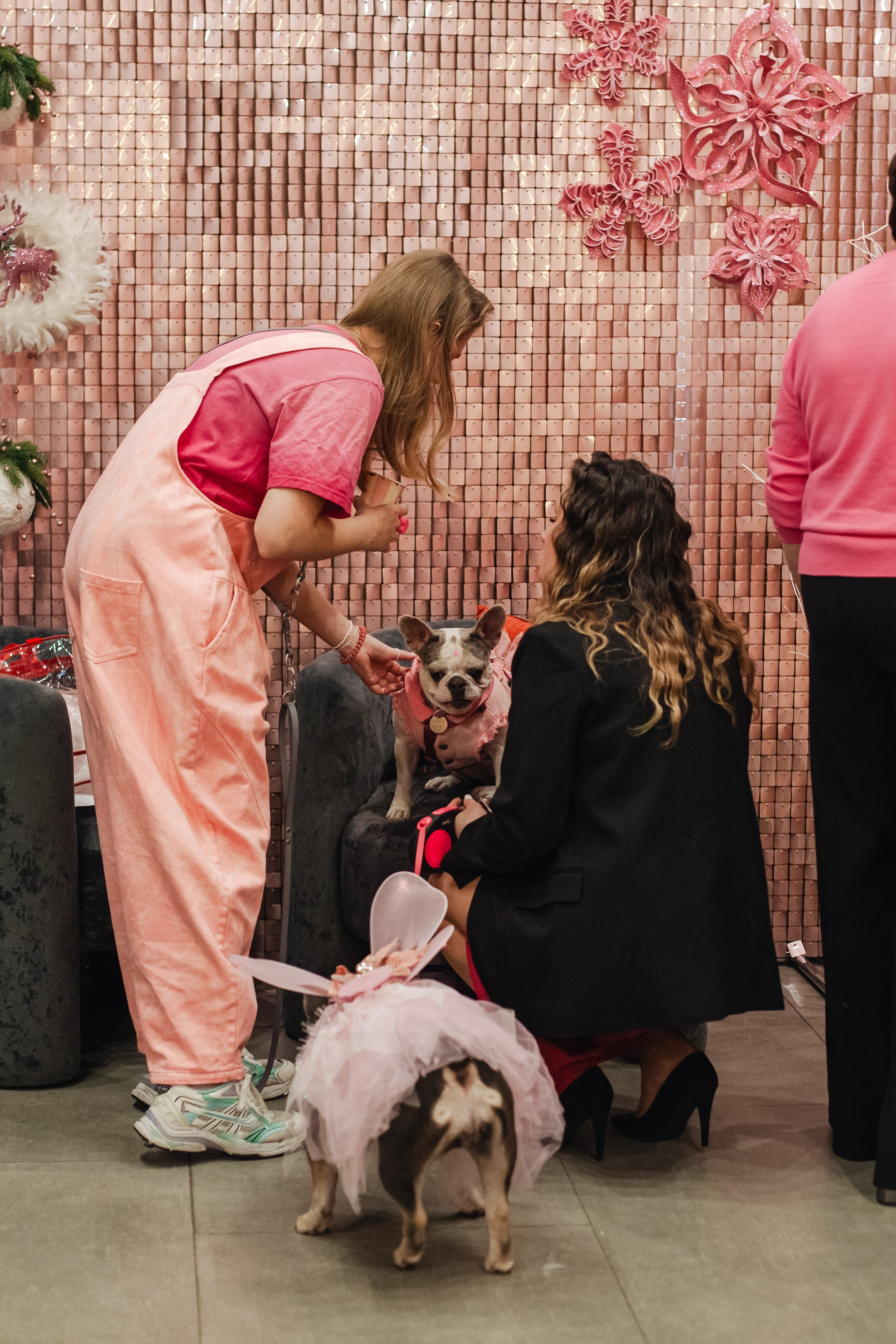 Бульёлка 2024. Фотограф-анималист Татьяна Степанова