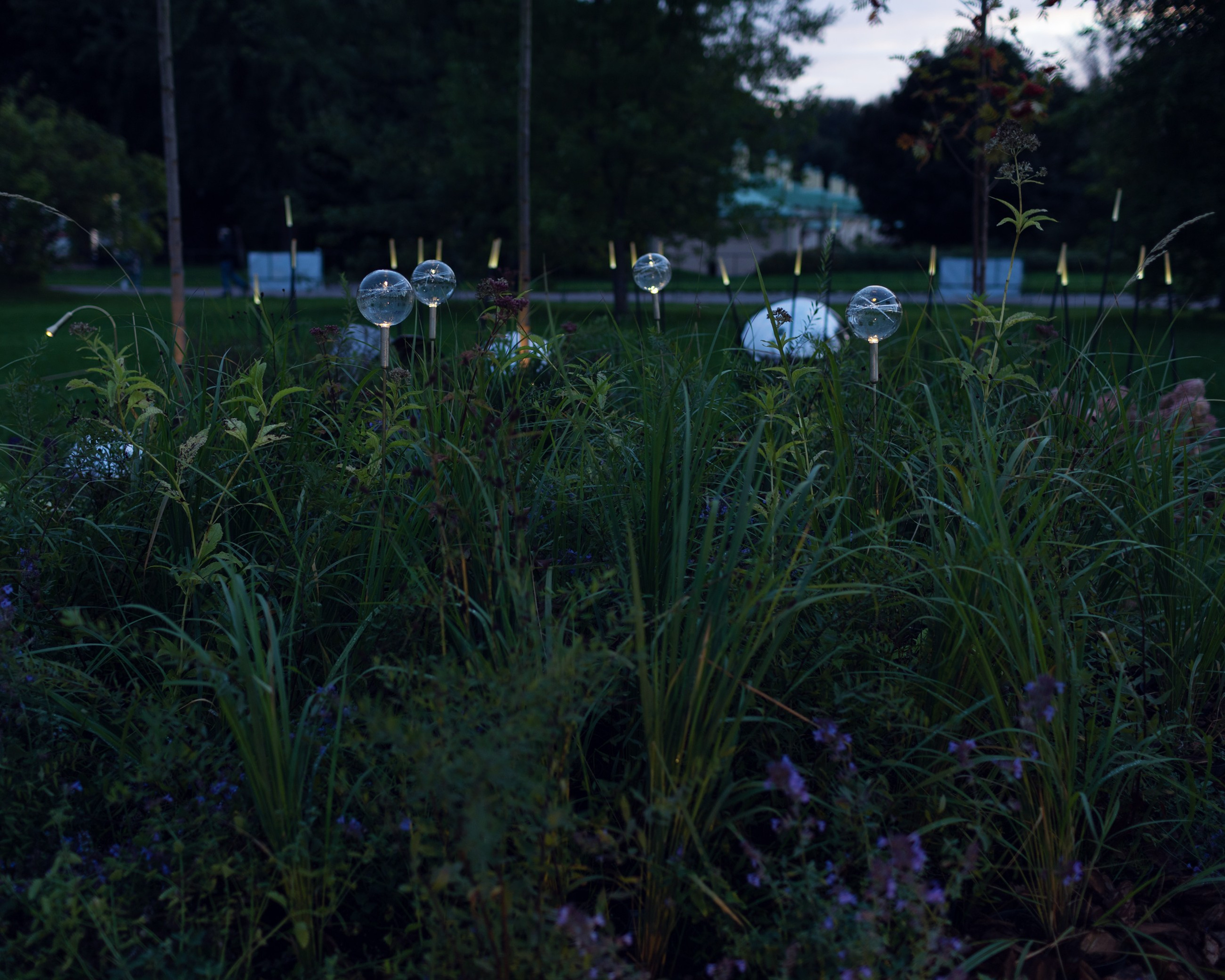 Декоративный ландшафтный свет TEMPARIUM. Фотограф Наталья Молчанова