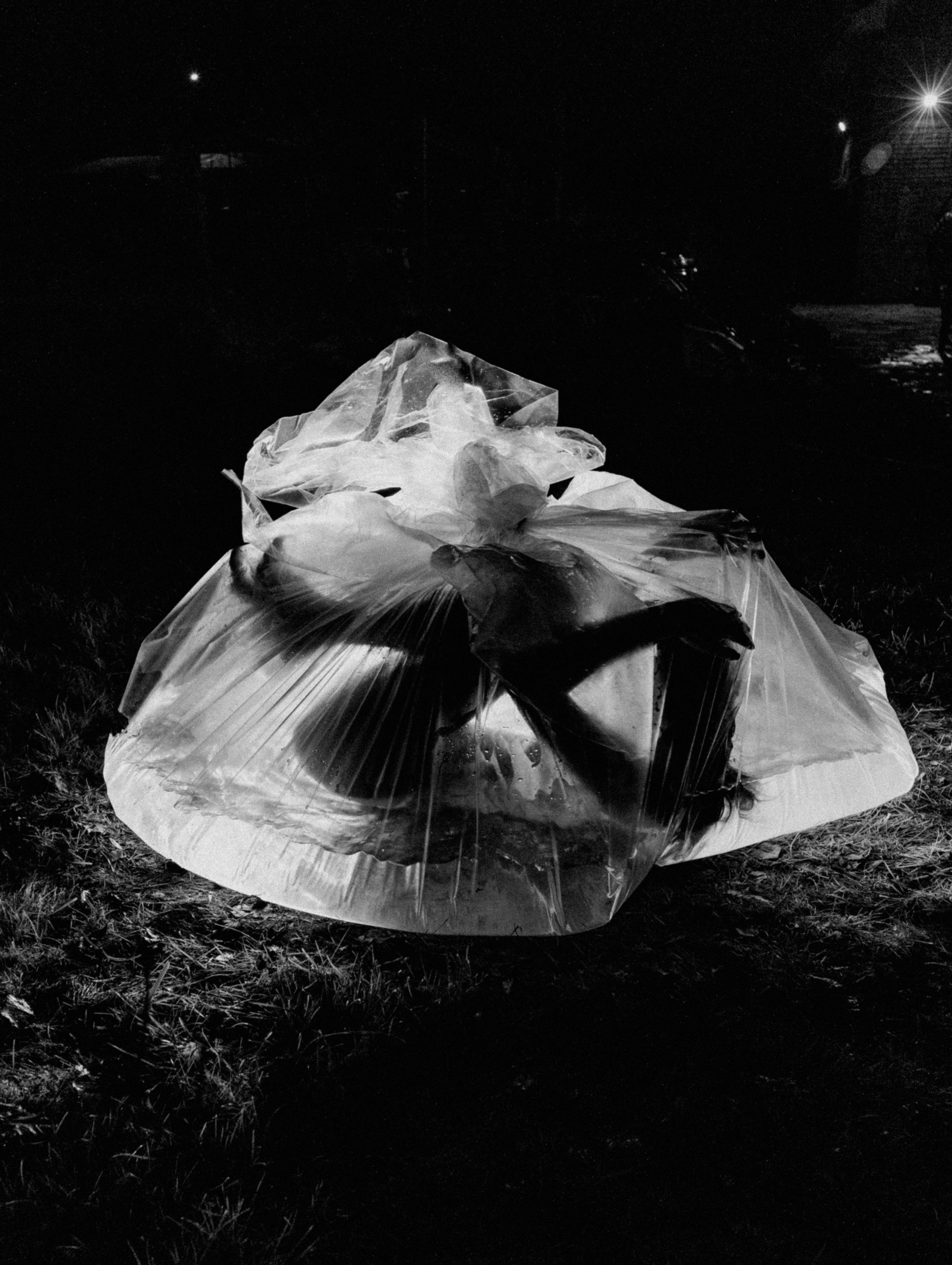 Фотограф | Киреев Семён | Москва