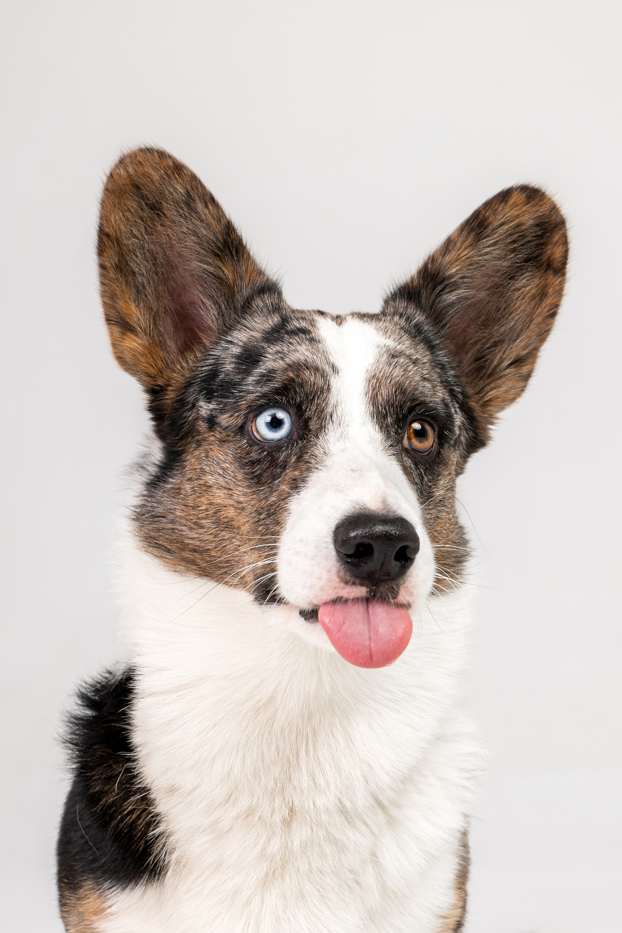 Анатолий и Рагнар