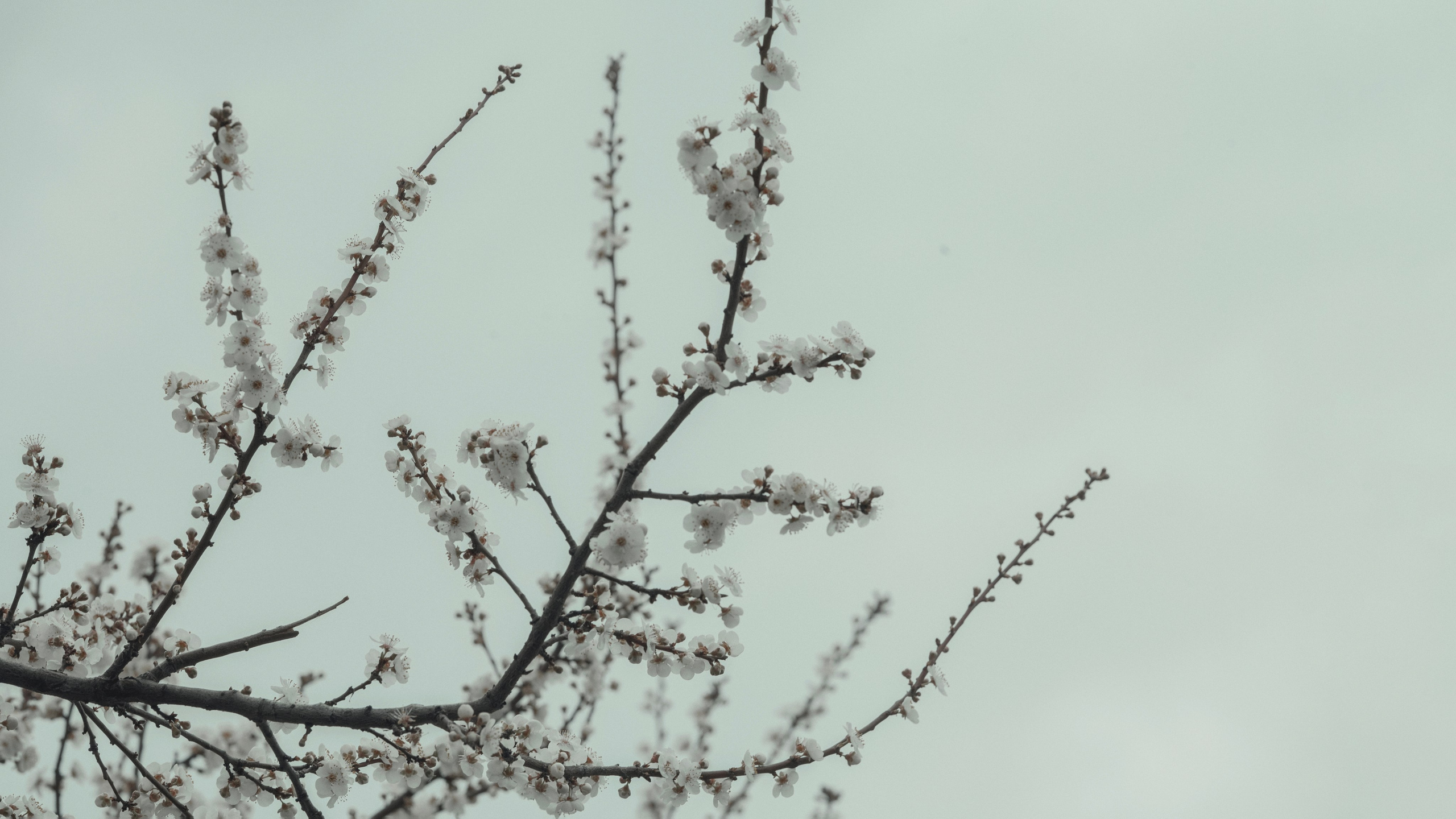 Книголюбы. Фотограф и Видеограф Артур Гимаев