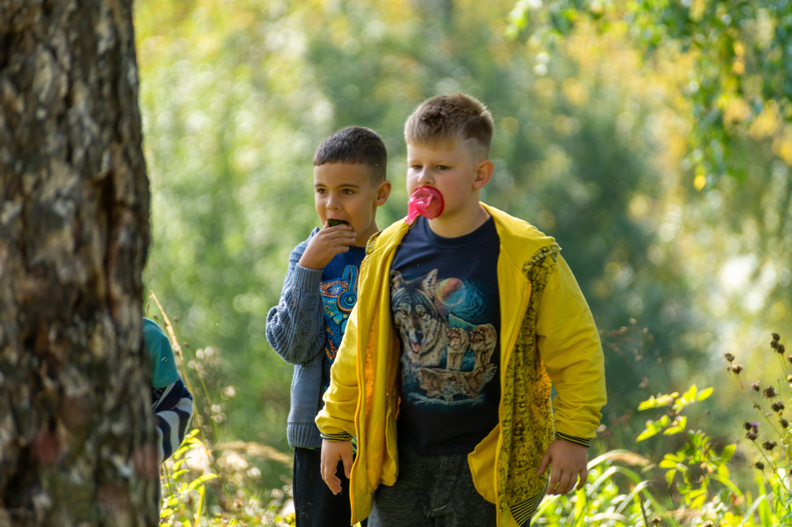 Отзывы. Ваш фотограф в Томске Александр Аркуша