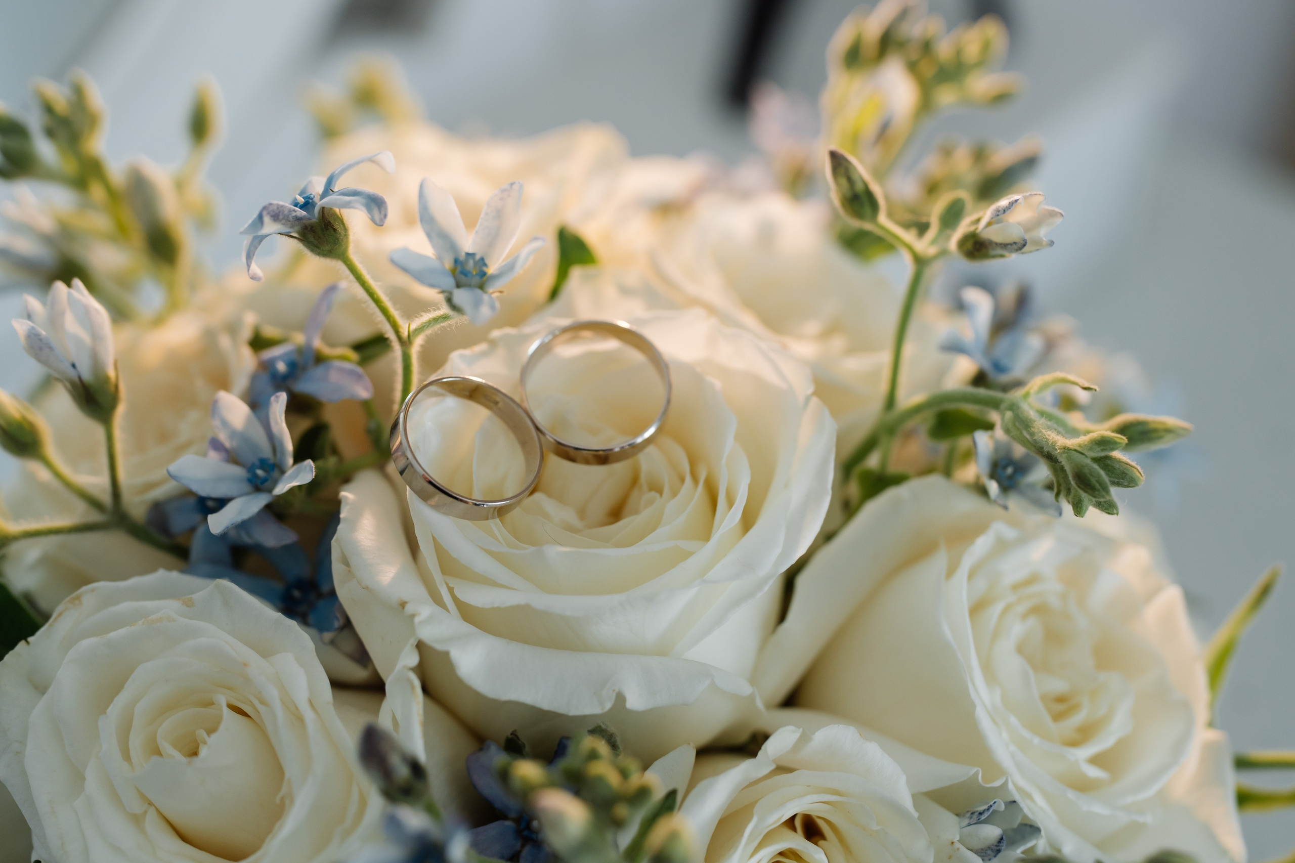 Саша и Маша. СВАДЕБНЫЙ ФОТОГРАФ КРАСНОЯРСК