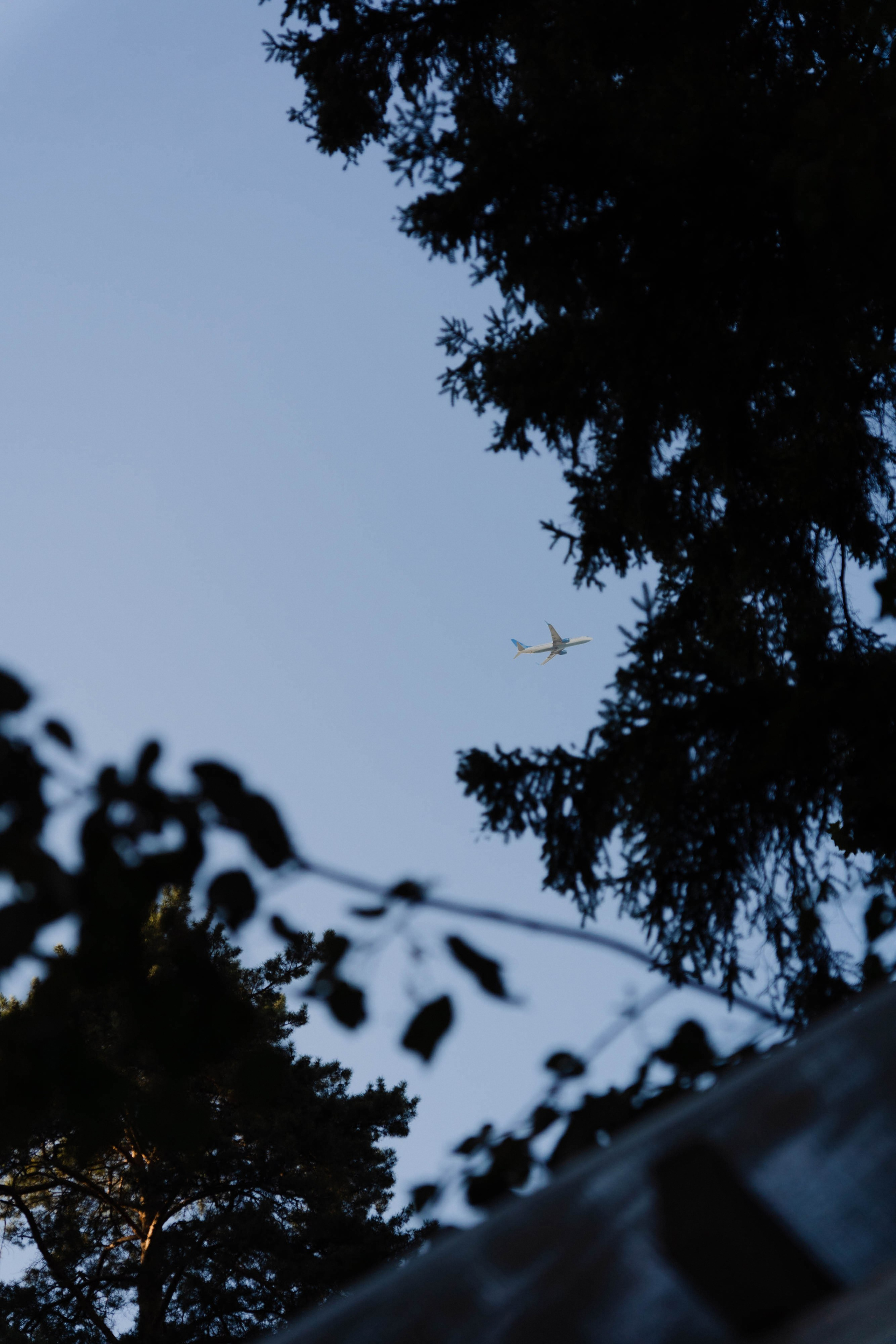 Встреча в «Робине» Переделкино. ФОТОГРАФ КСЕНИЯ СОСНОВСКАЯ