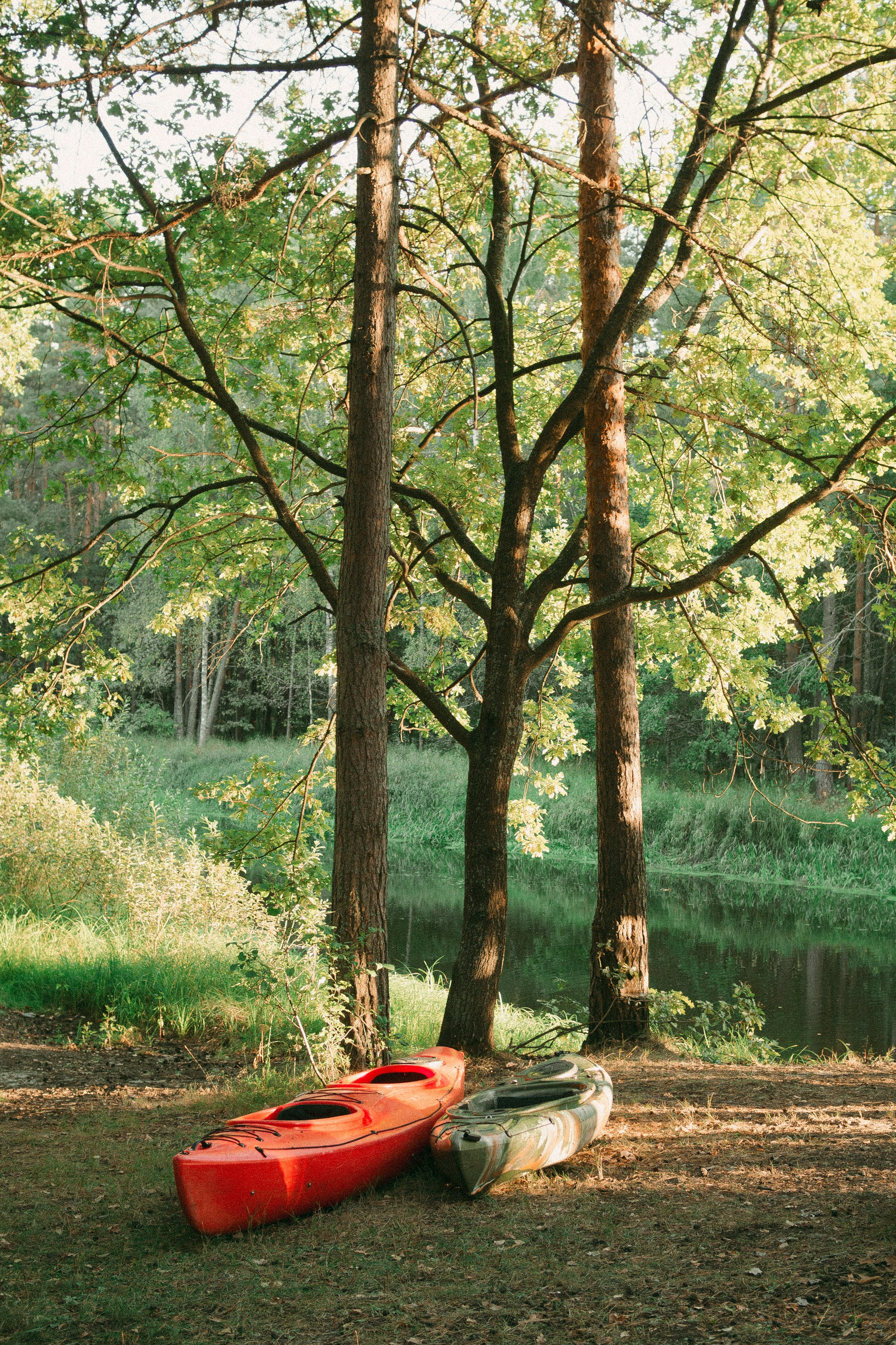 Обыкновенное чудо