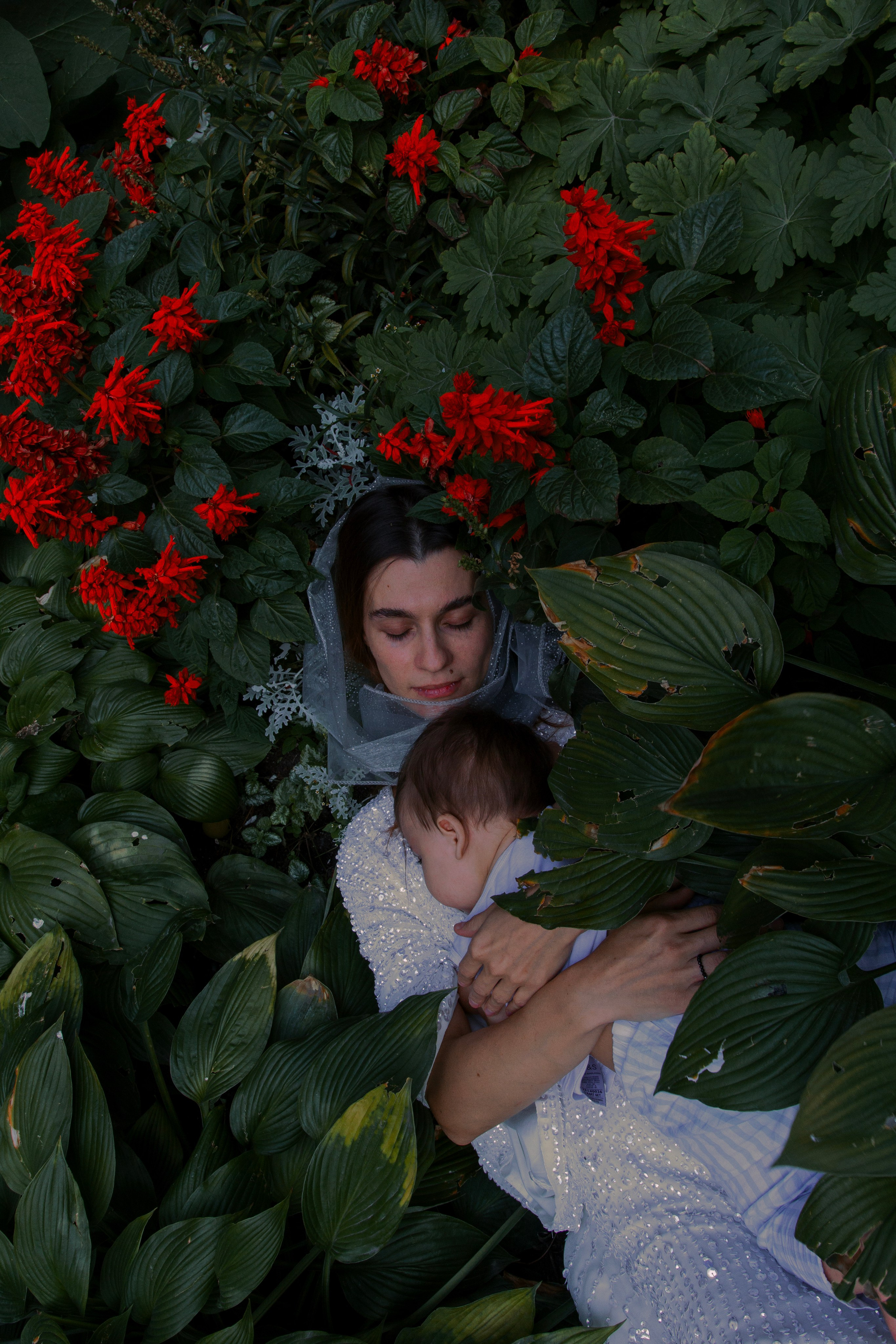 Мадонна с младенцем