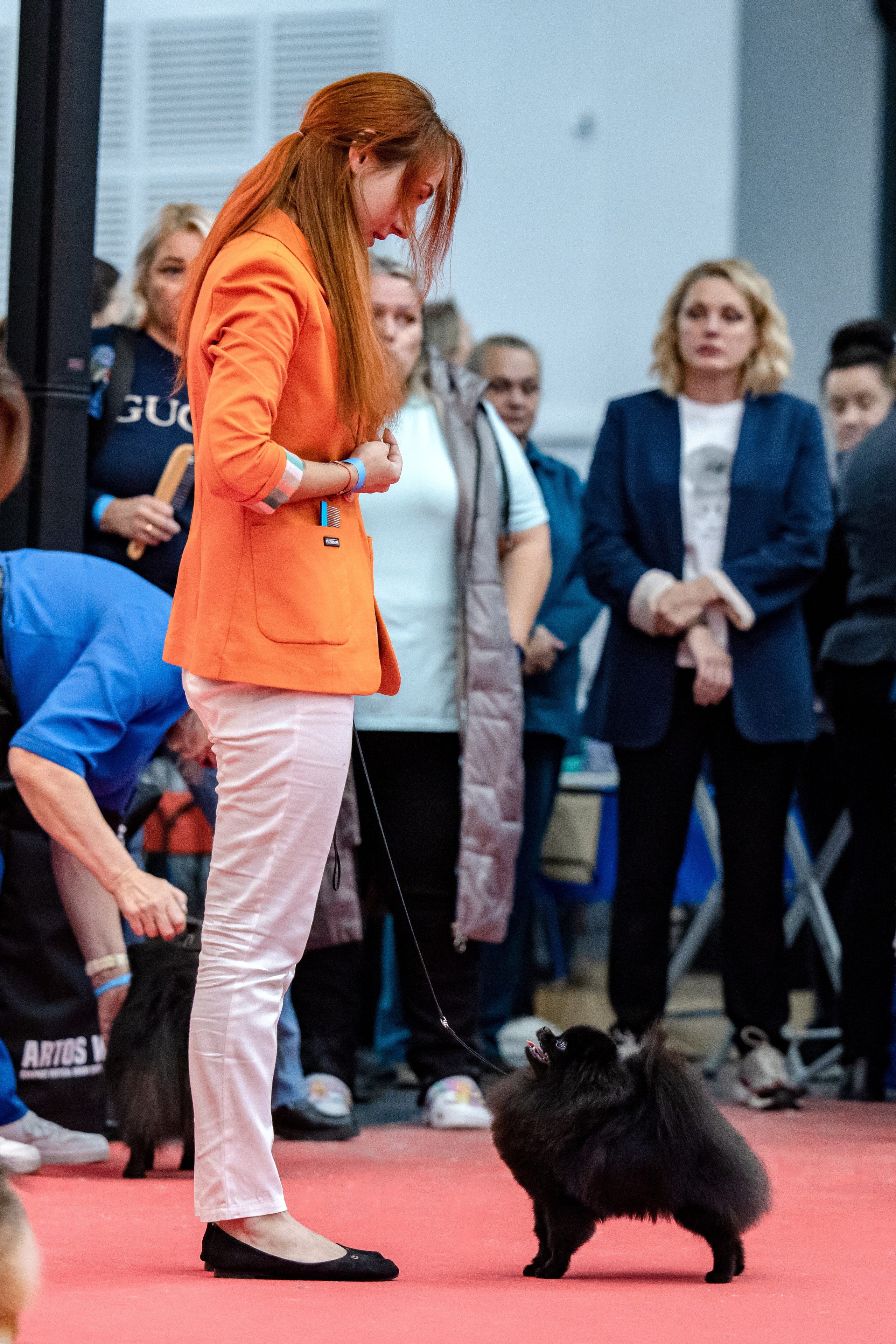 Нижний Новгород 21-22.10.2023. Фотограф-анималист Юлия Германика