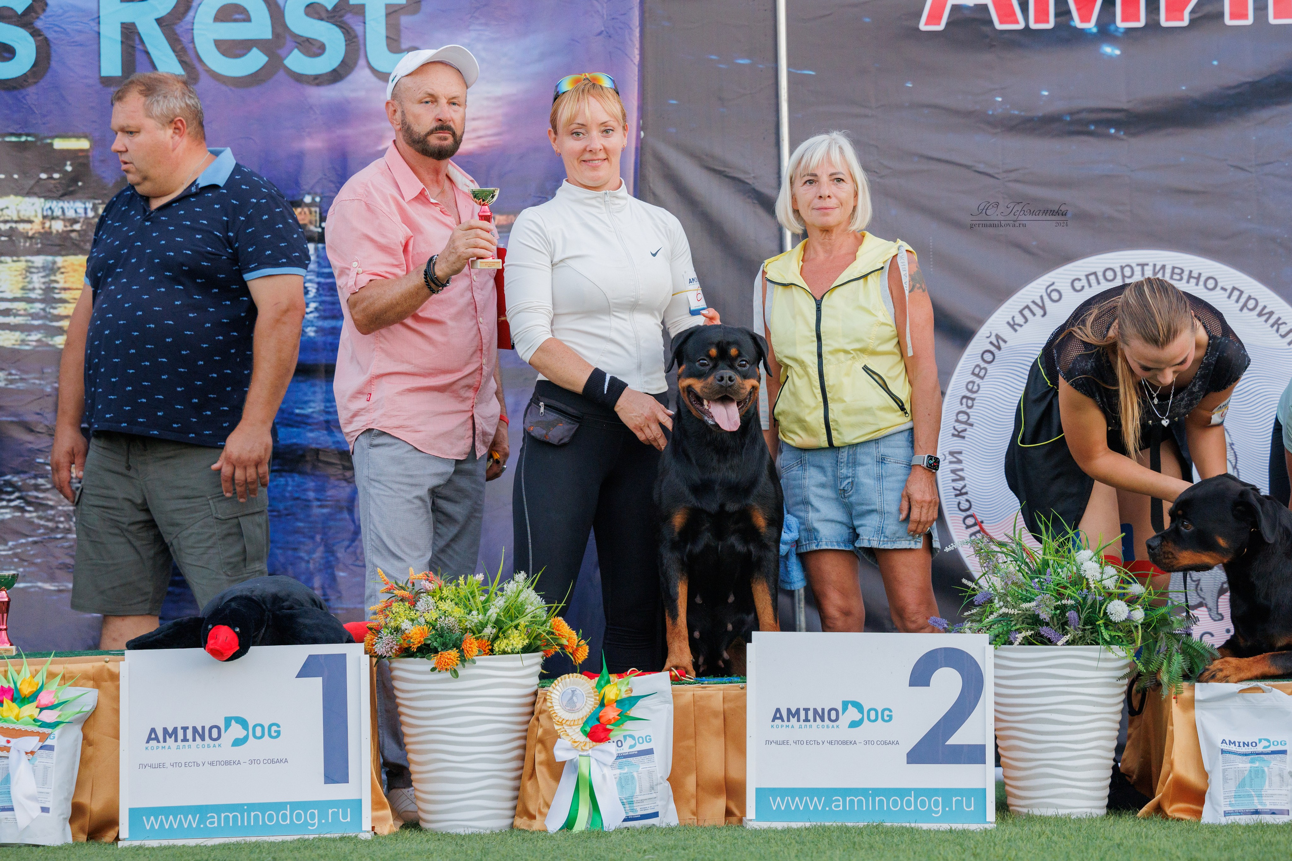 Анапа ротвейлеры 14-15.09.2024. Фотограф-анималист Юлия Германика