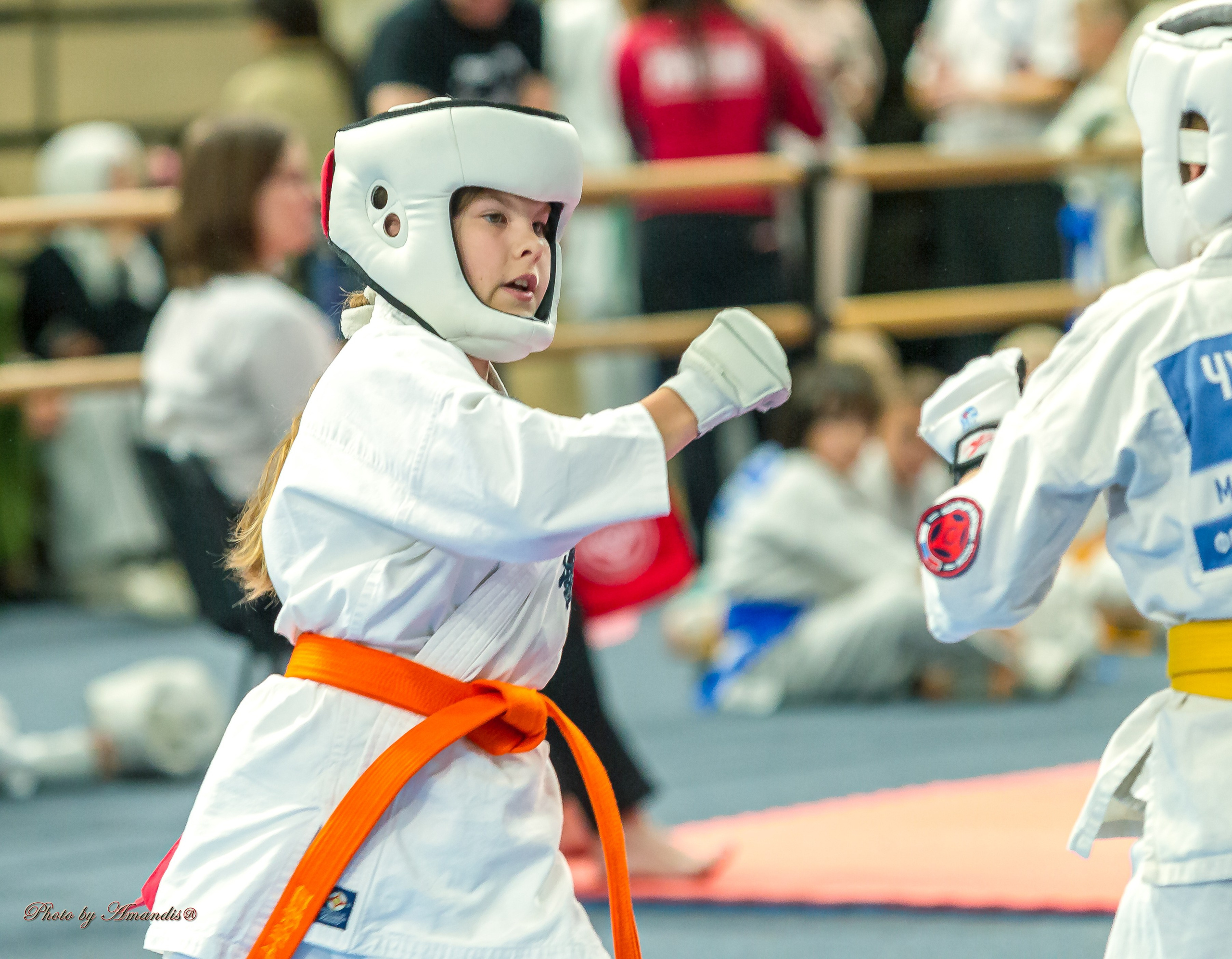 Первенство Московской области по Киокушин в СК «Жаворонки». Репортажная съемка в Москве и области. Анималистика