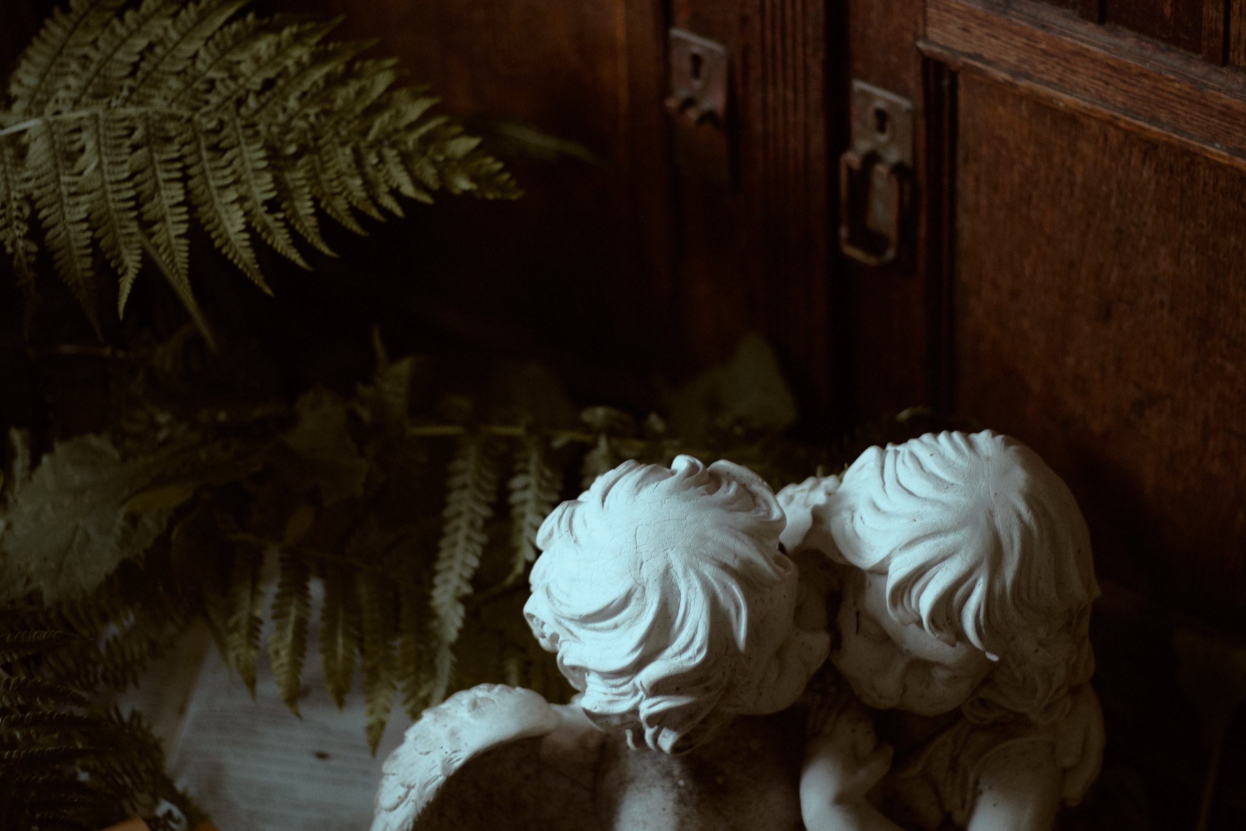 Люпин. Фотограф лавстори Москва/МО Приятелева Ангелина