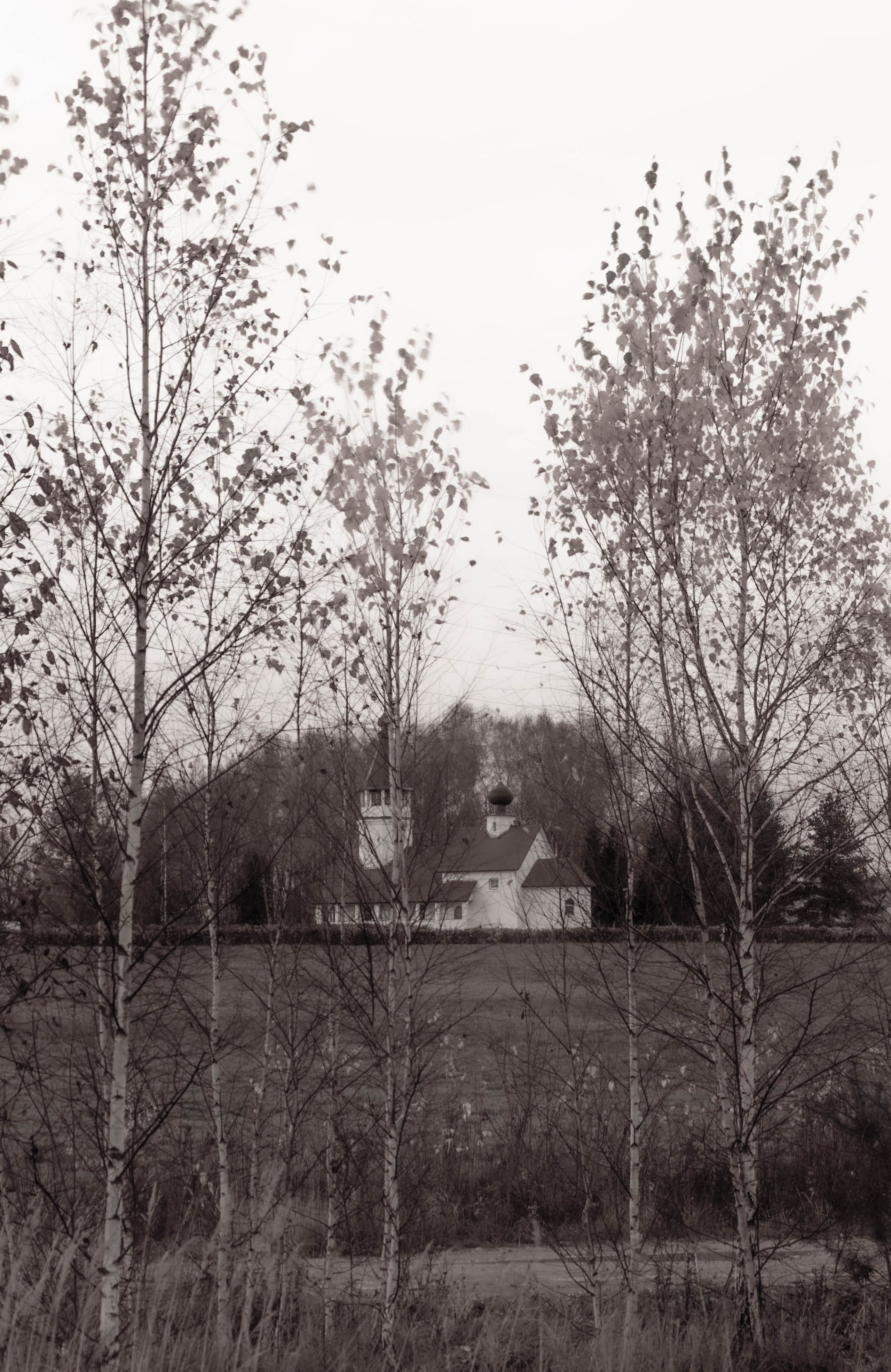 ПЛАНЕТА ЗЕМЛЯ (пейзаж). АЛЕКСЕЙ КОЛМАКОВ. Фотограф. Москва и Московская область