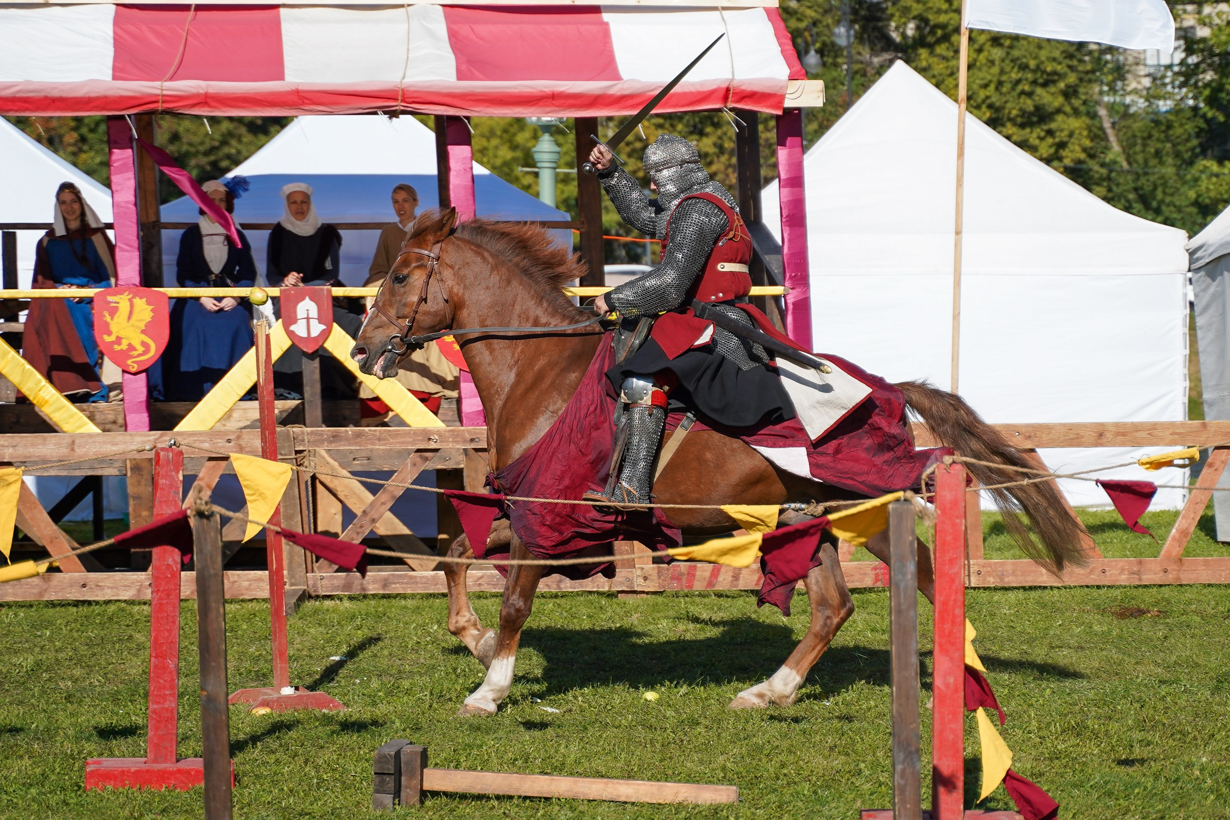 Рыцарский турнир в рамках фестиваля «Битва на Неве» Санкт-Петербург 2024 г. Фотограф-анималист, портретный фотограф в Чебоксарах Мария Садыкова