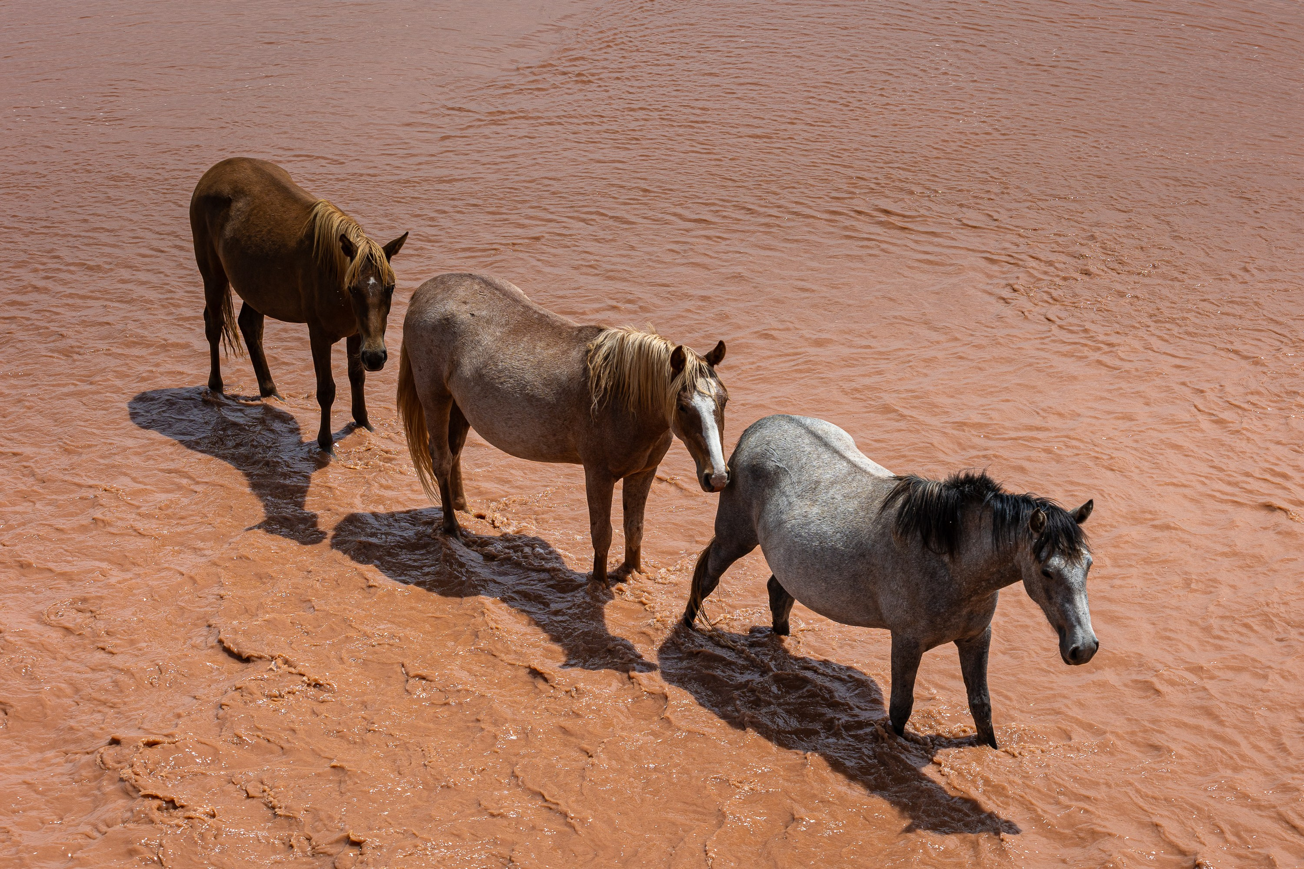 Киргизия. Добродеева Алла фотограф, Москва