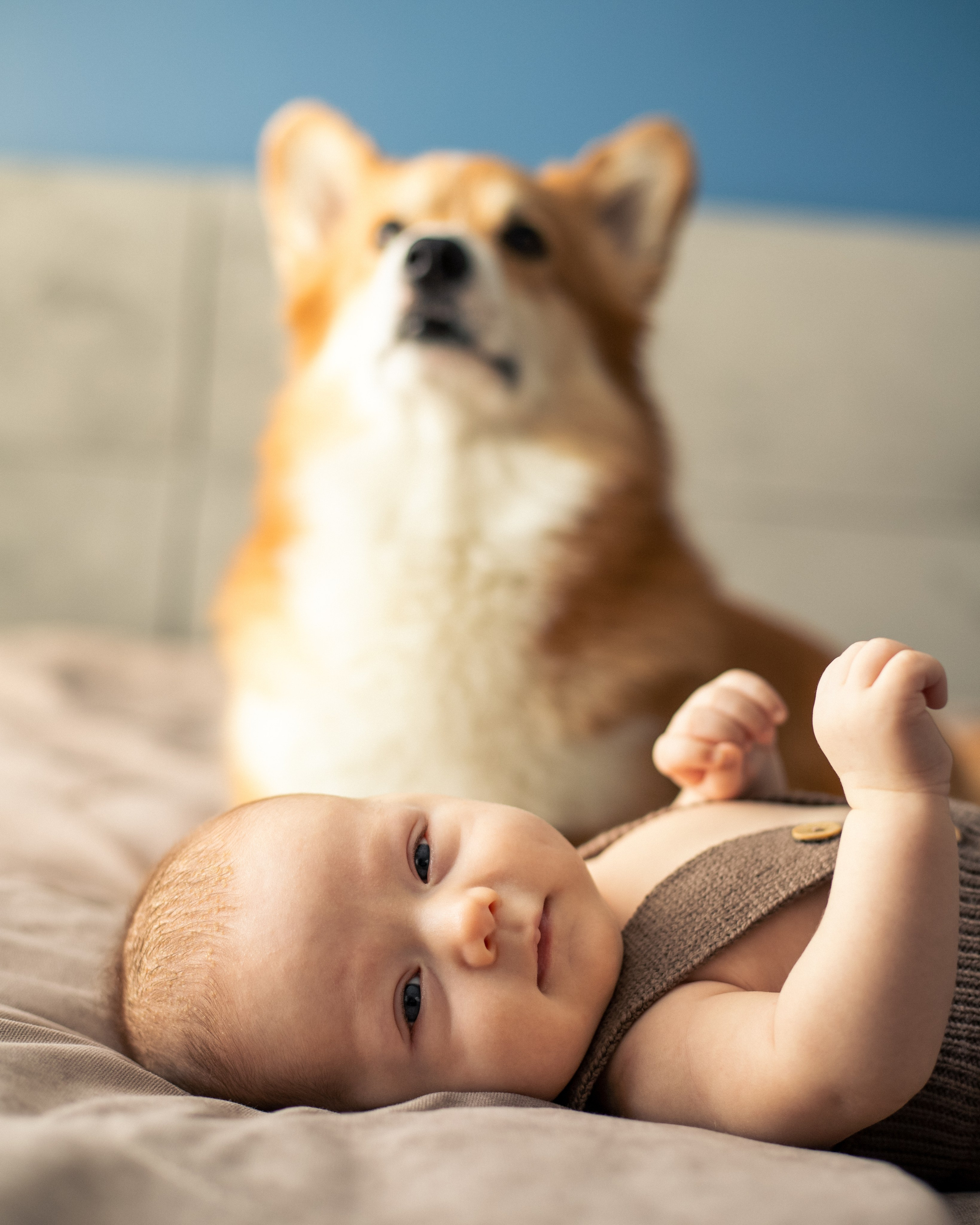 Андрей, Саша и все-все-все