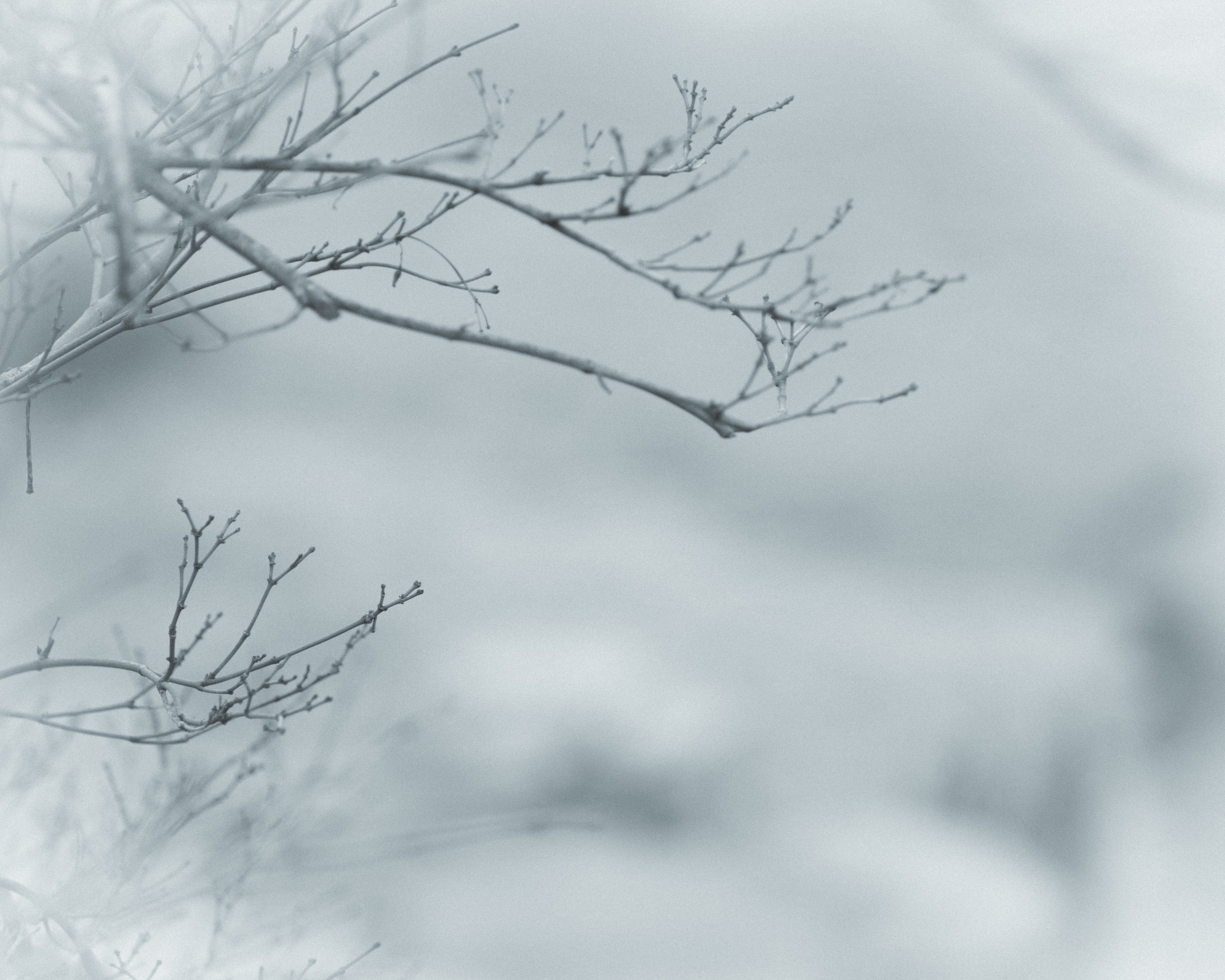 Silence. Главная