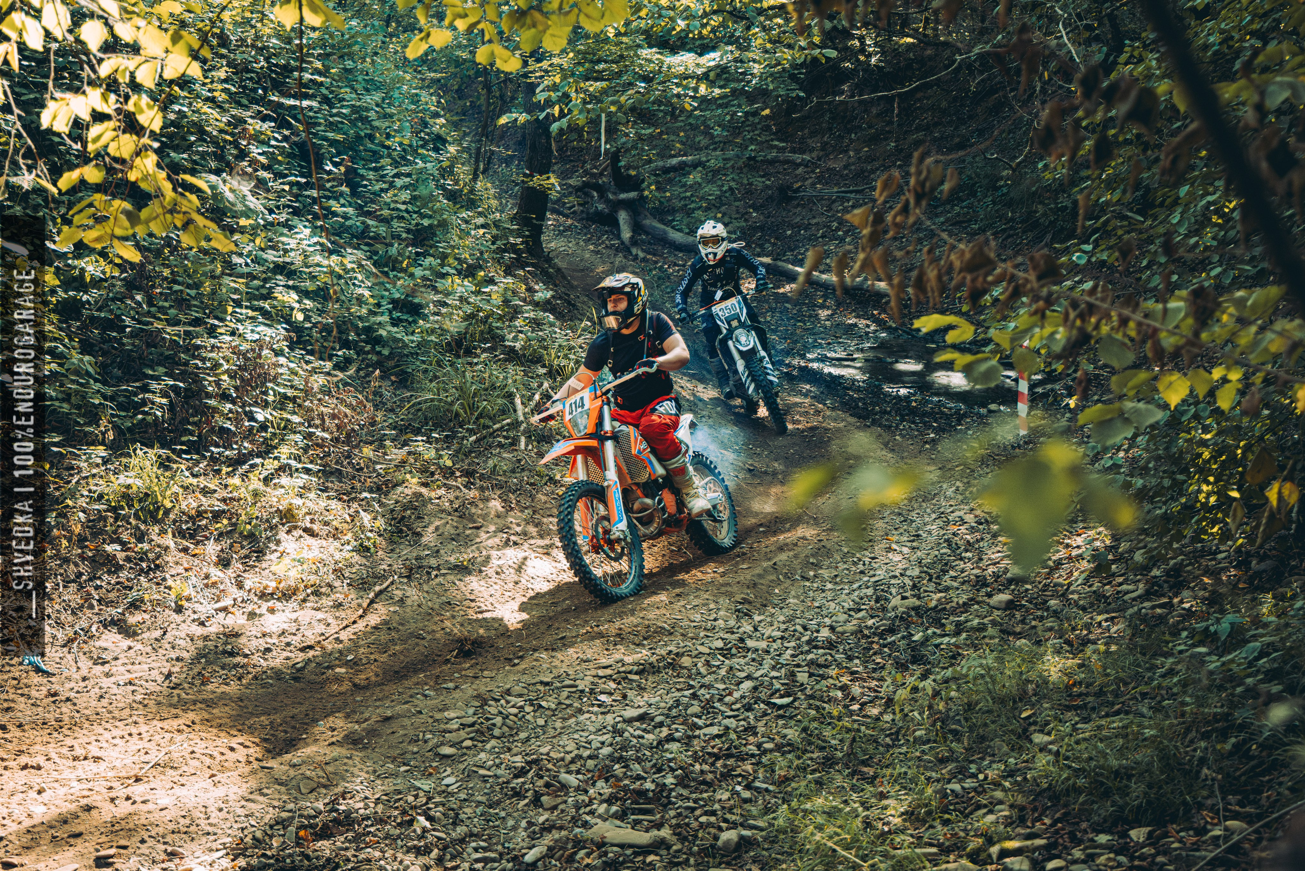 2 лесной день. Ваш экстрим фотограф Кудрева Яна