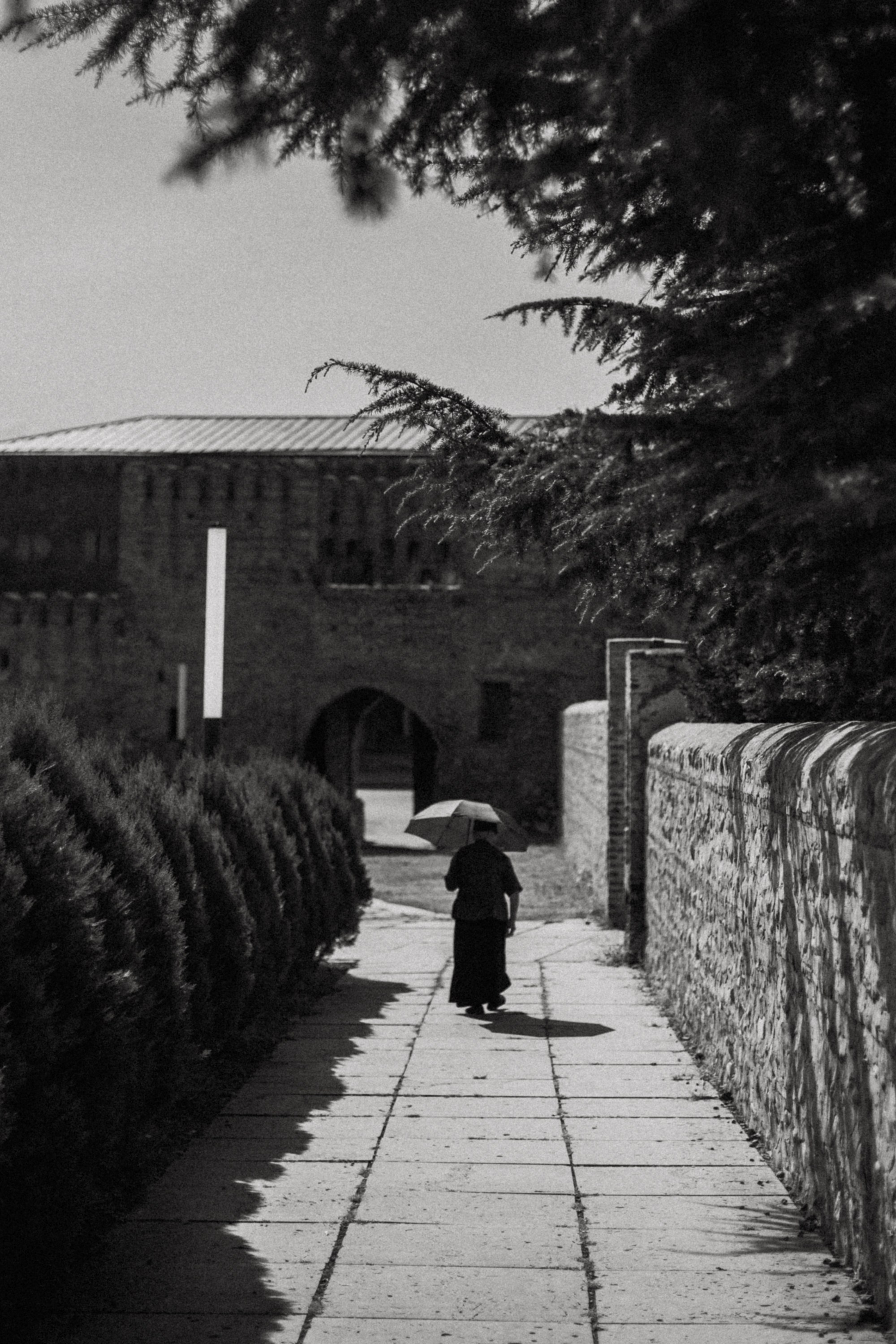 Грузинские каникулы. Violetta Skripka