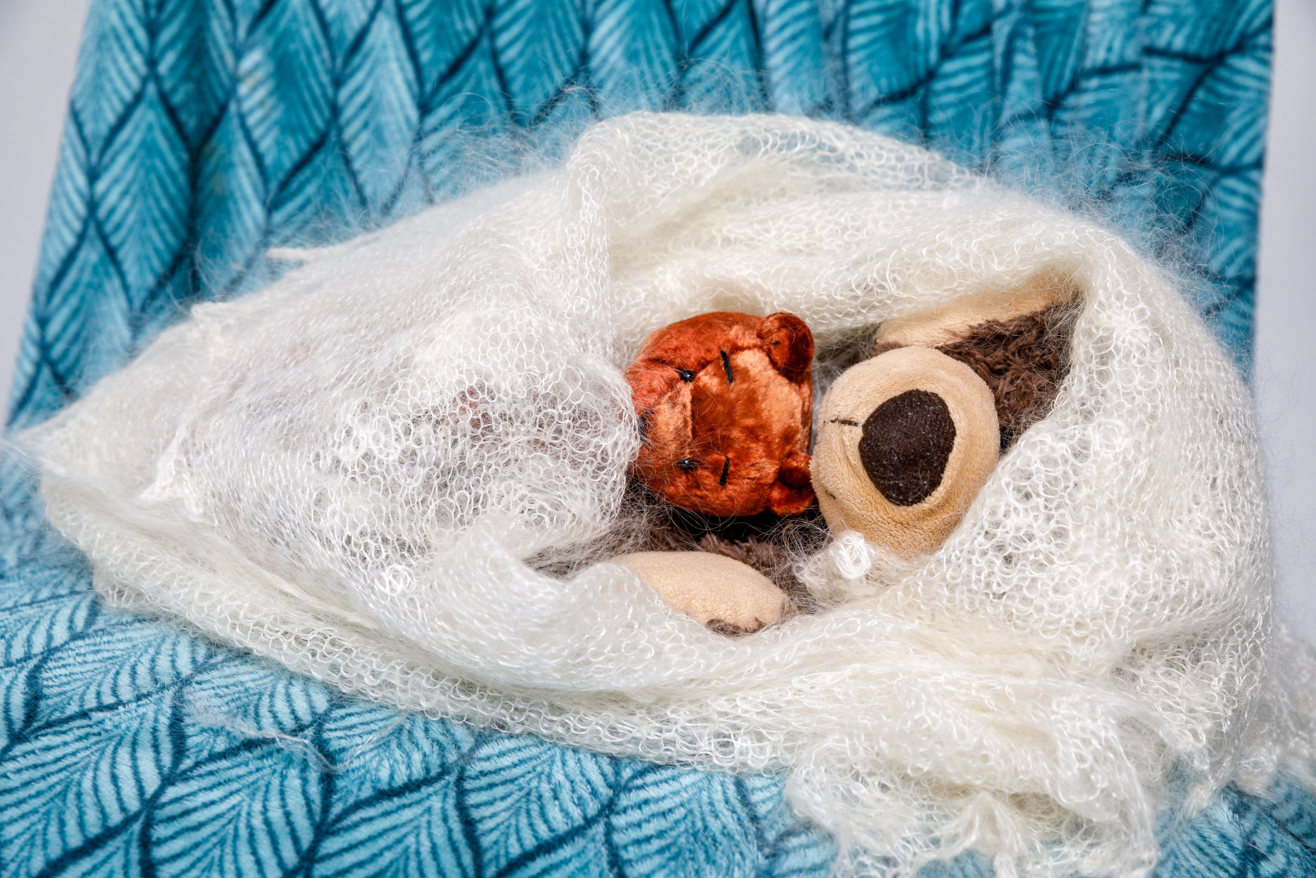 Это не новогодняя фотосессия. Это реклама курсов. Фотограф в Москве Слуцкая Наталья, репортаж, портрет, контент