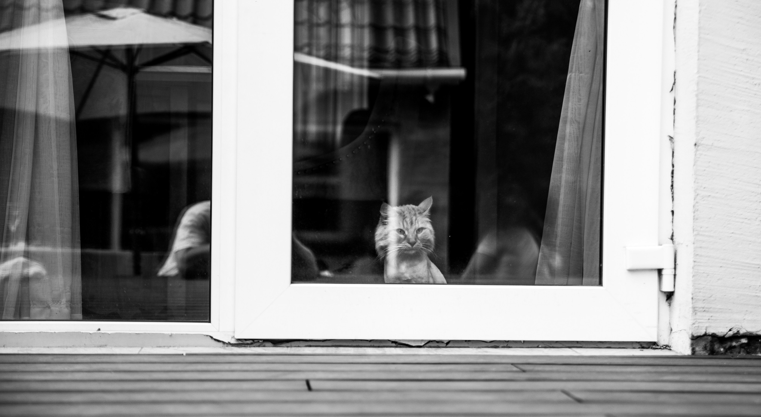 День Рождения Егорки -2025. VoronEvent. Репортажный и свадебный фотограф в Челябинске Елисеев Павел