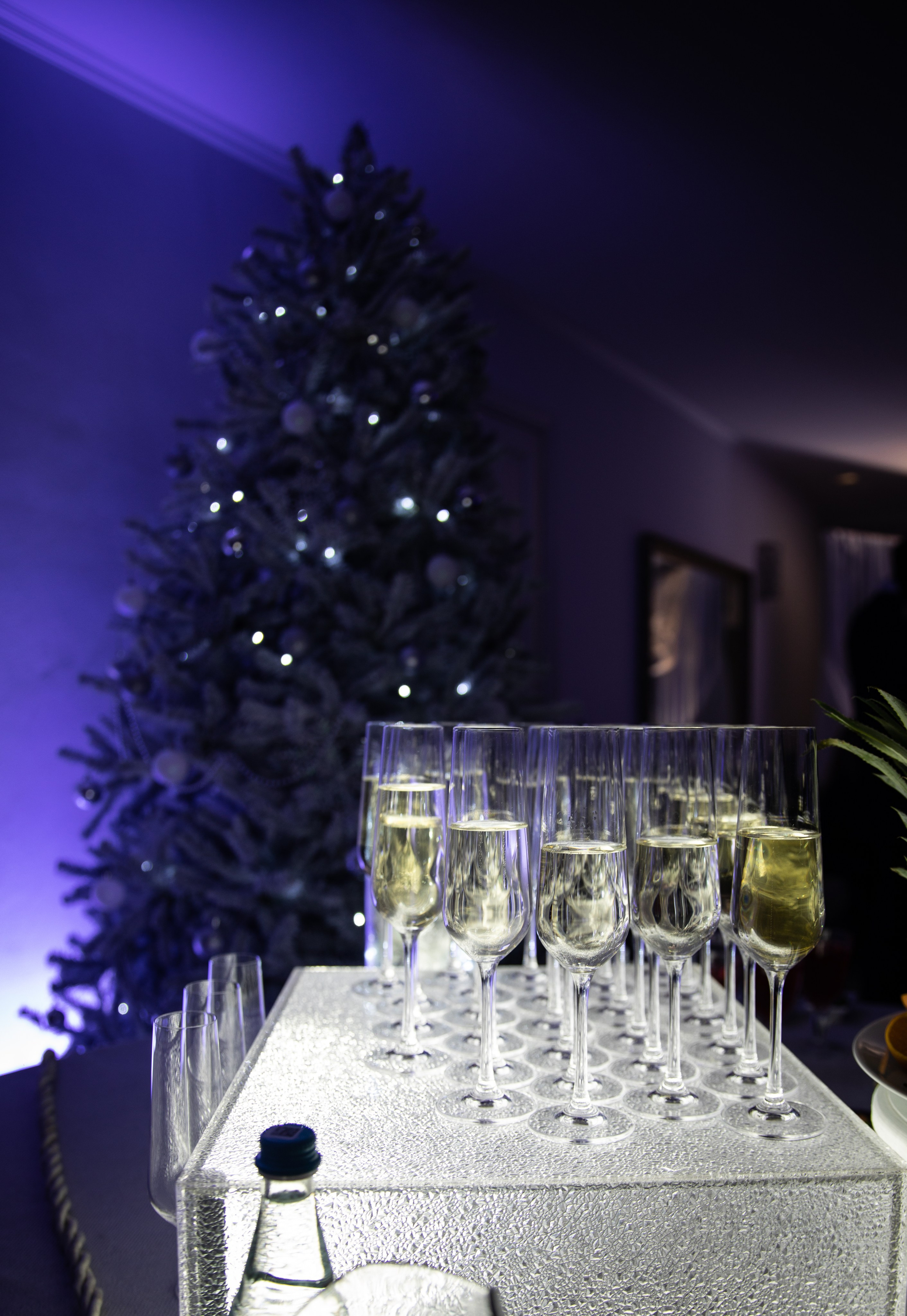 Юбилей. Снежная Королева -2024. Репортажный и свадебный фотограф в Челябинске Елисеев Павел