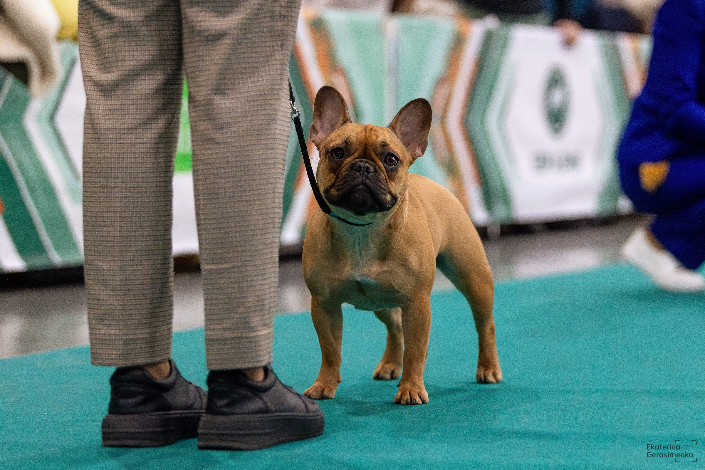 16–17 ноября 2024, Выставка ЕВРАЗИЯ, г. Москва. Htykk_photo