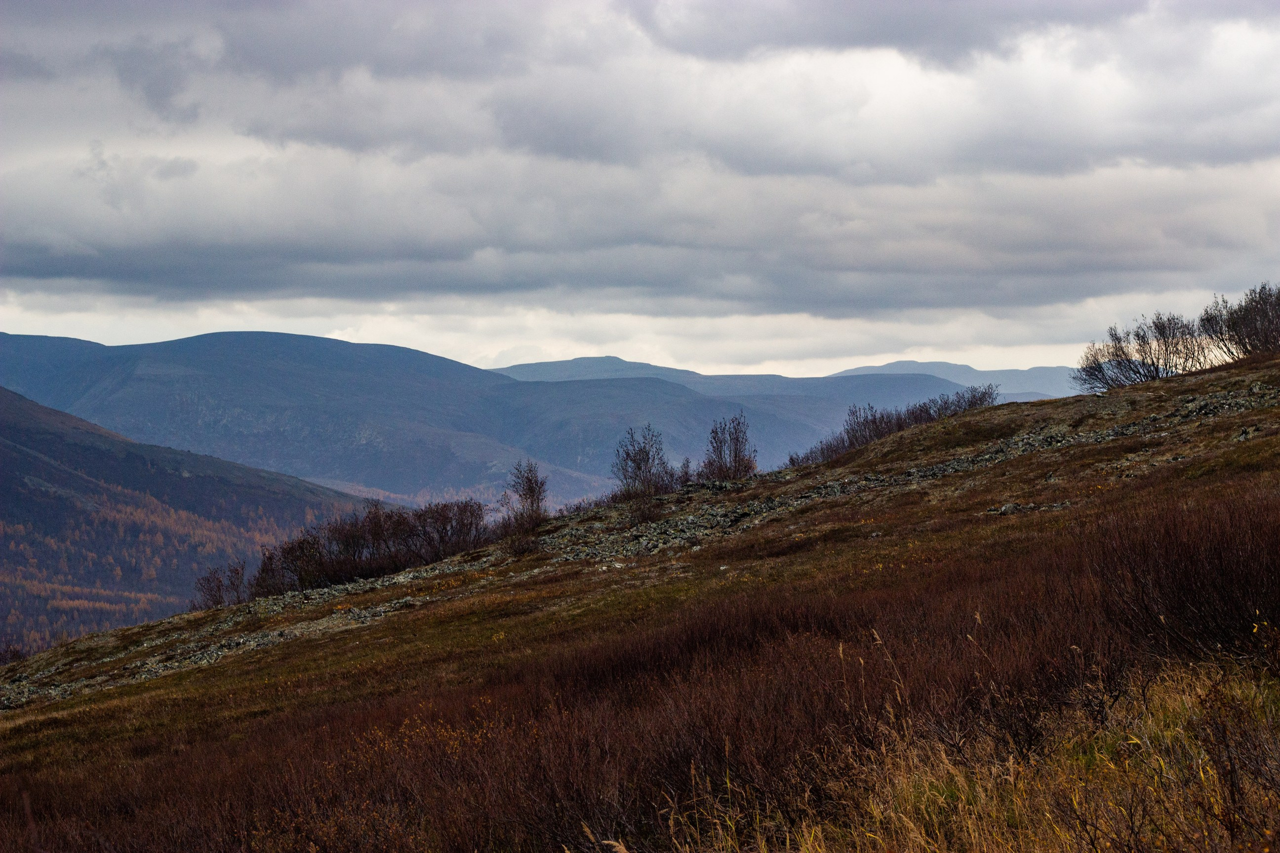 Станция Собь. Фотограф Екатерина Зорина