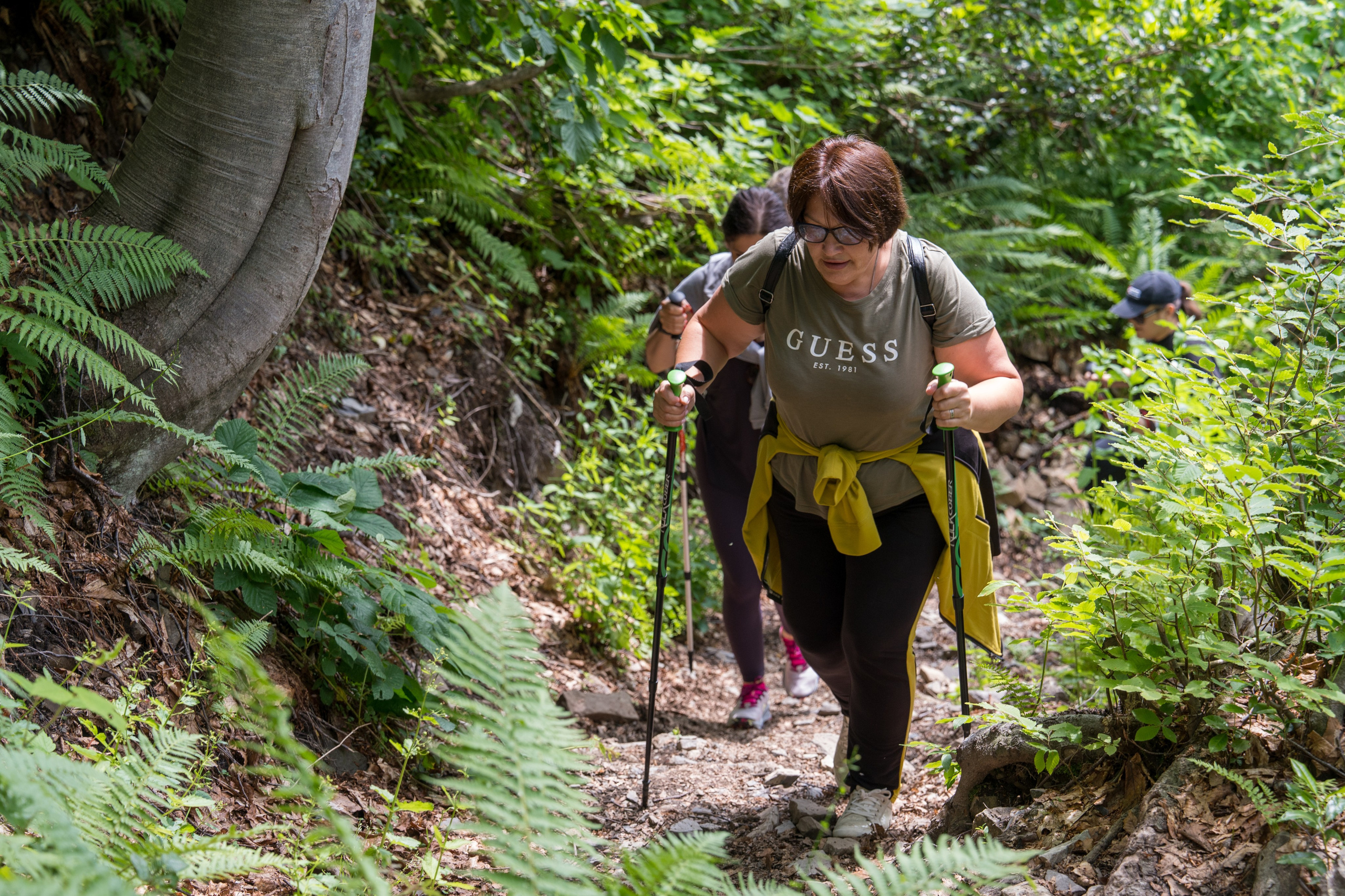 MICE мероприятие для компании «Доставка морем»: хайкинг к Ачипсинским водопадам. Репортажный фотограф в Красной Поляне и Сочи Павлюченко Екатерина