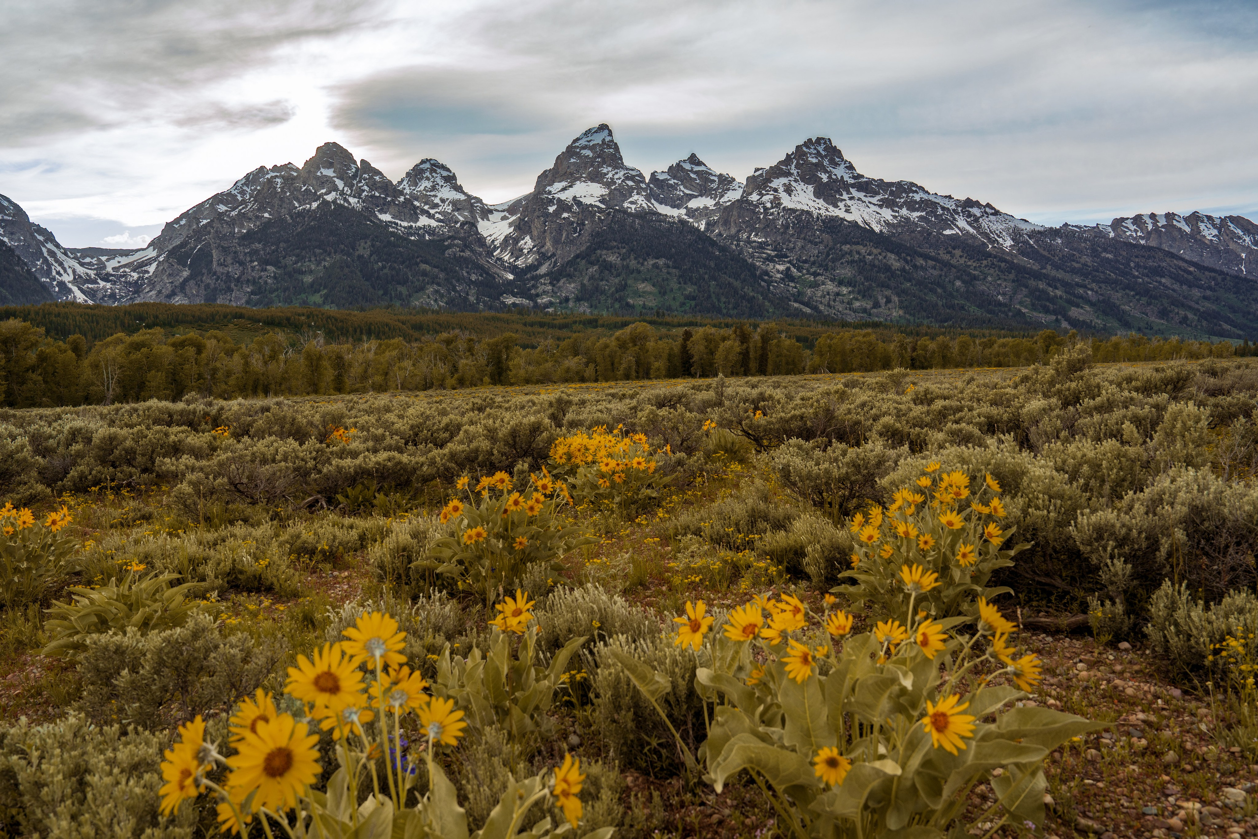 Путешествия и пейзаж. Репортажный фотограф в Красной Поляне и Сочи Павлюченко Екатерина