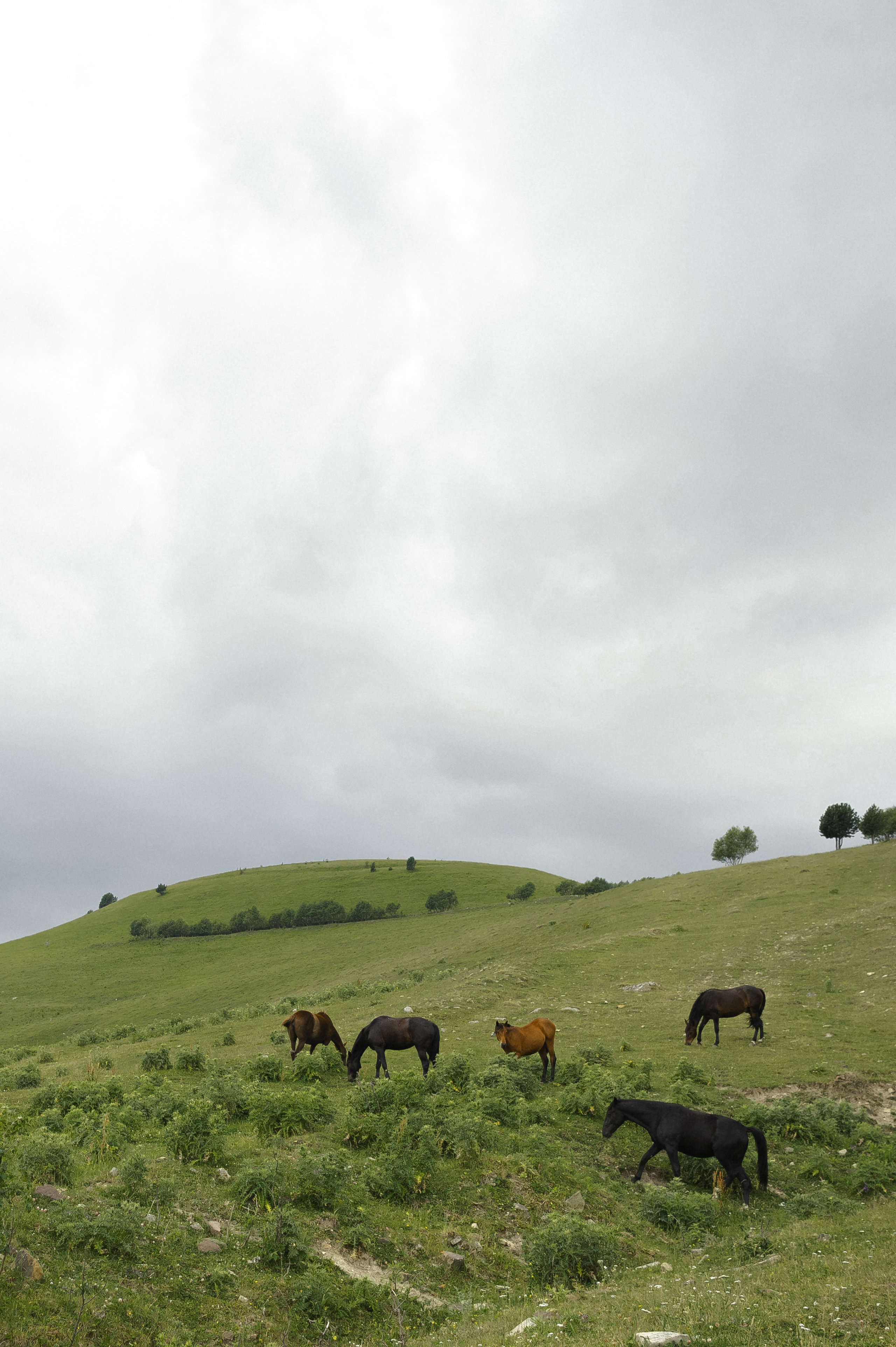 Владимир и Анна. Свадебный фотограф Ростов-на- Дону, Краснодар, Москва