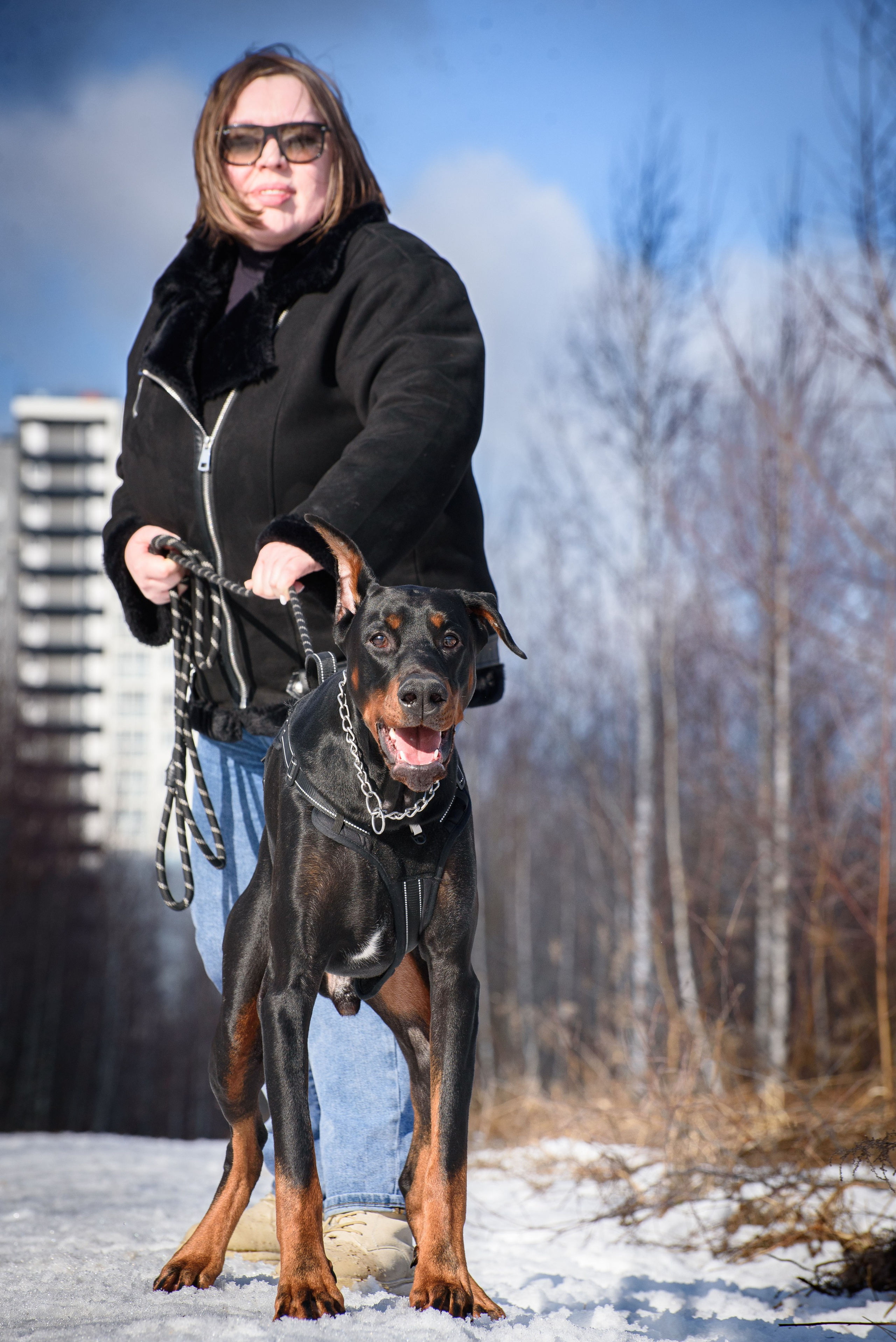 Фотосессию с любимчиком — доберманом. Фотограф Макс Огурцов в Нижнем Новгороде