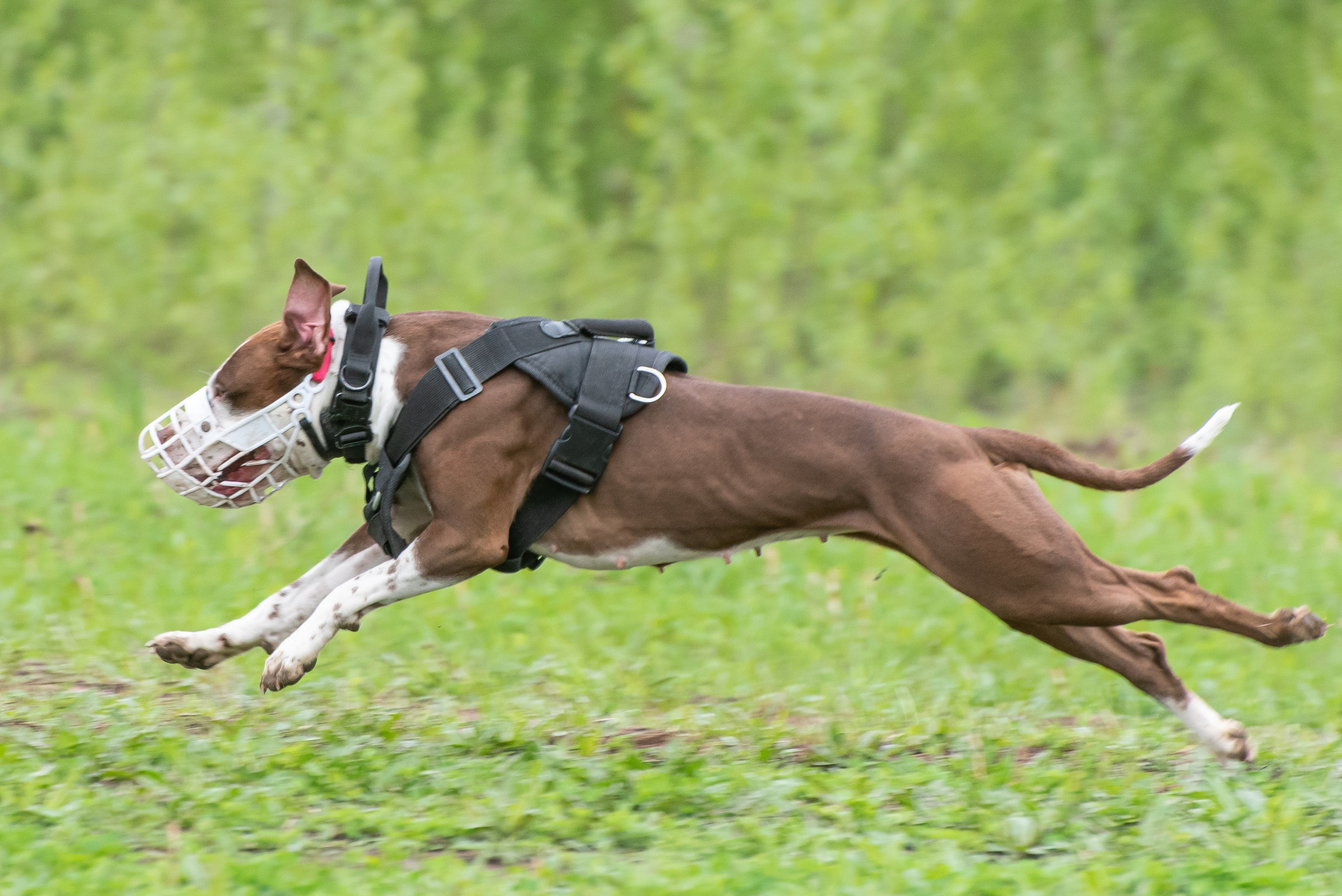 Фотографии с Курсинга. Фотограф Макс Огурцов в Нижнем Новгороде