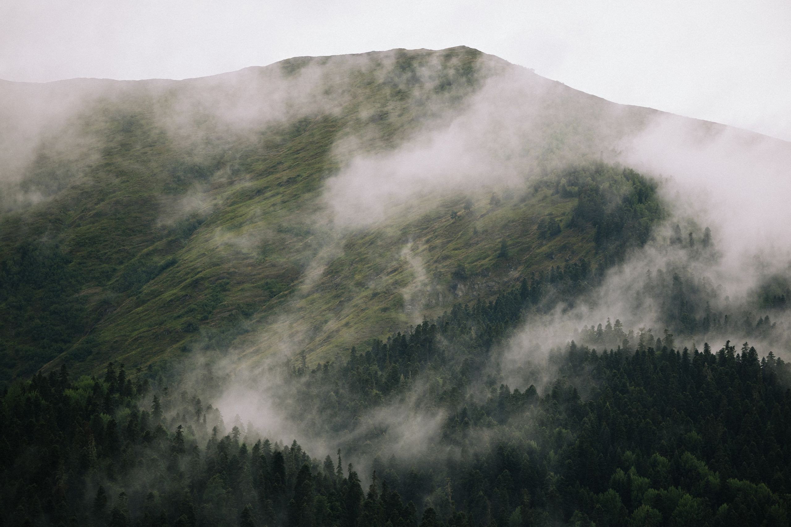 Мы — начало. Свадебный и репортажный фотограф Новороссийск, Краснодар, Сочи Олеся Дзюба