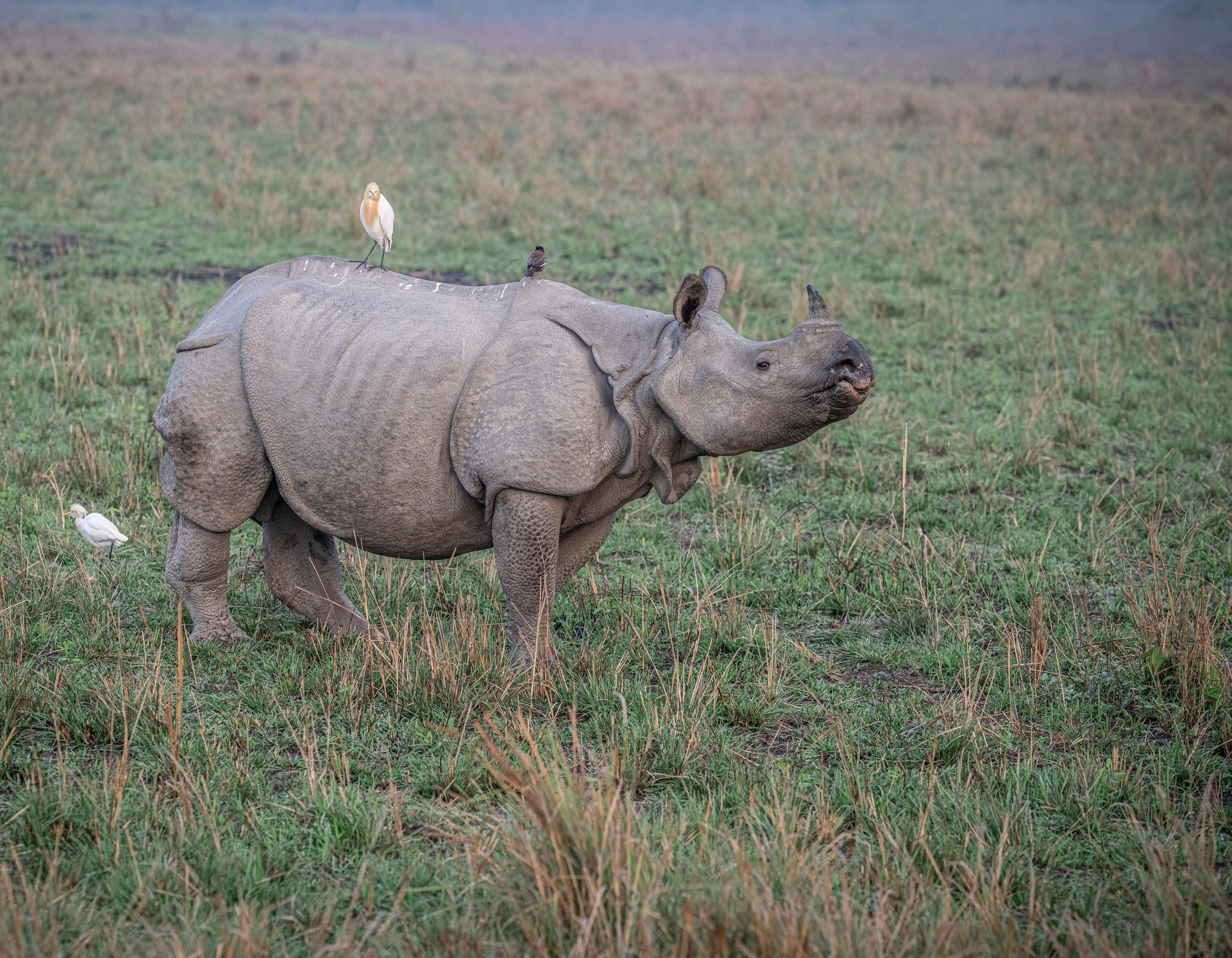 India travel. Фотограф Сергей Танков