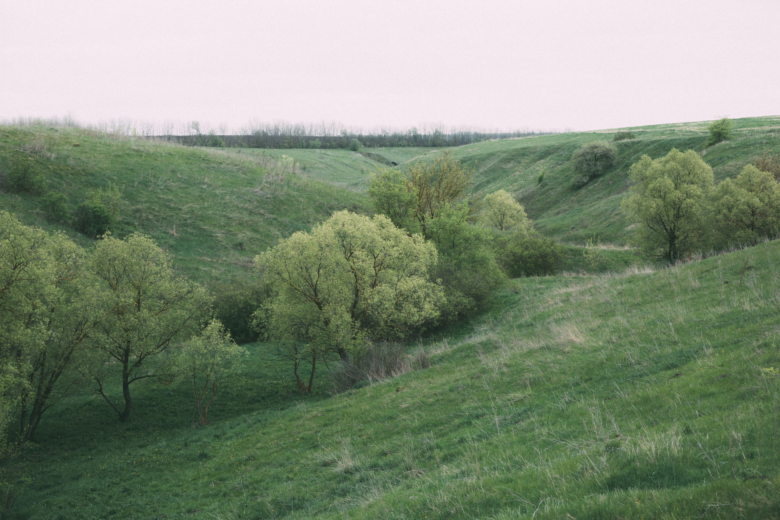 Татьяна/Растворяясь в тишине. Фотограф Ирина Панина