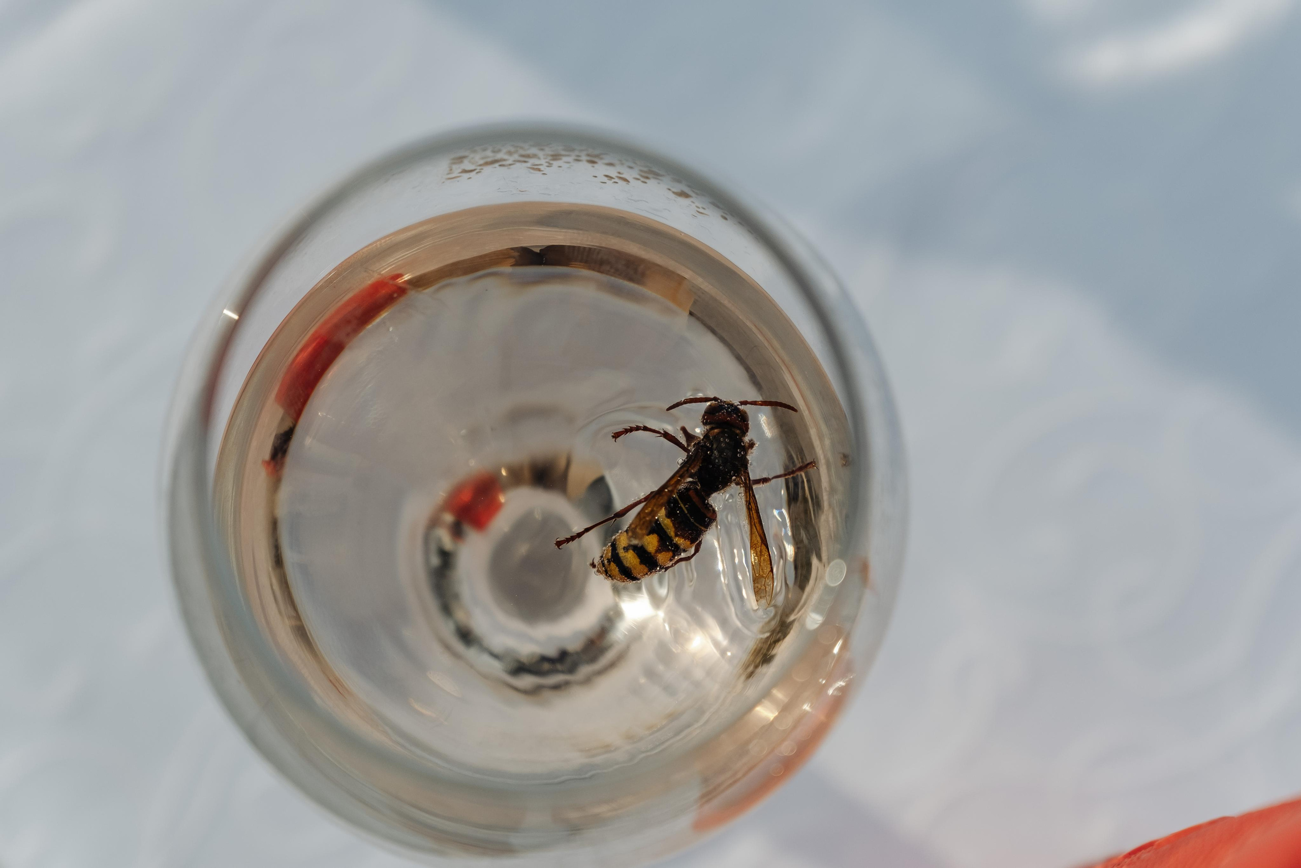 Станислав и Анна. Свадебный фотограф в Москве и Подмосковье Виктор Одинцов