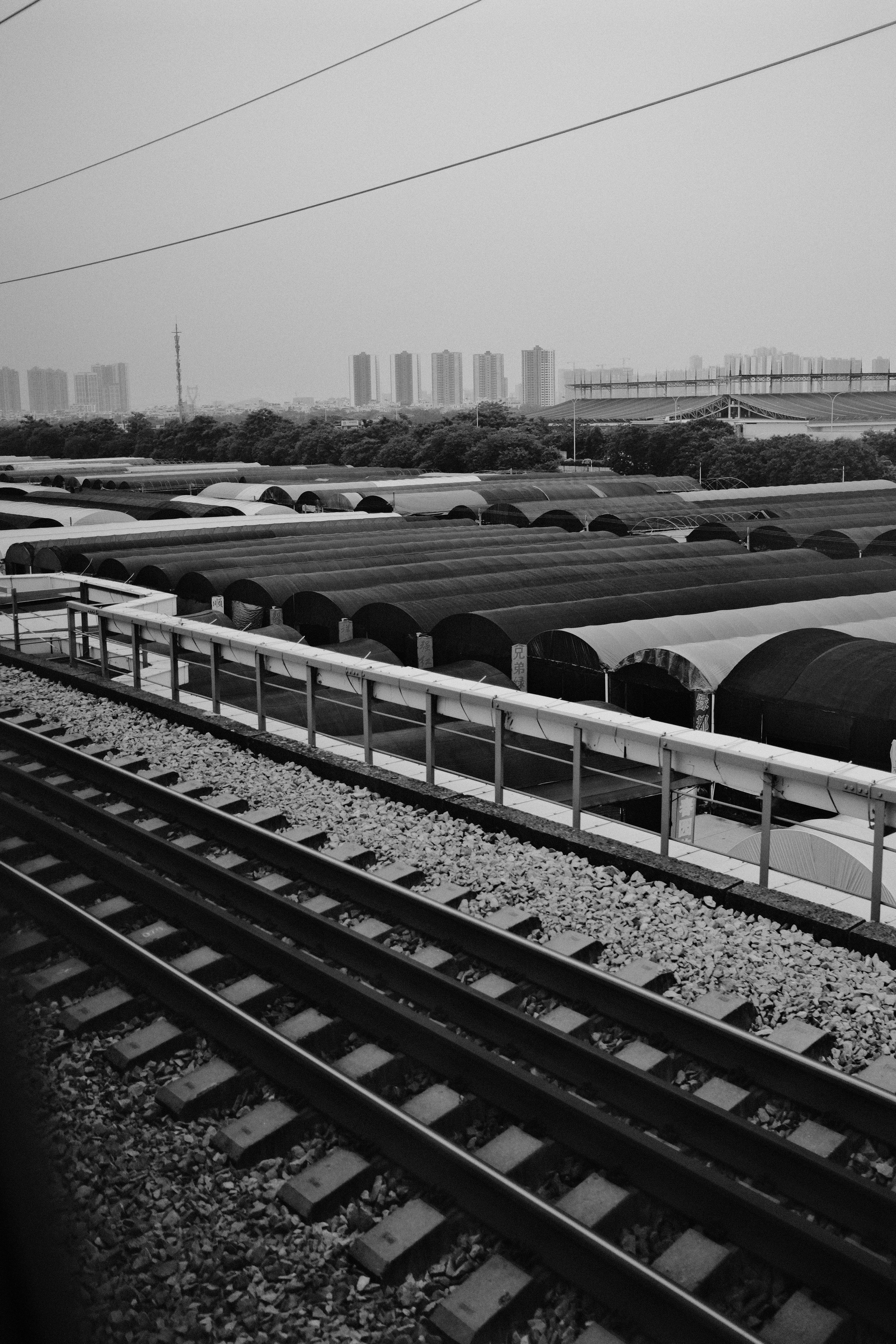 Yangshuo China Guiling. Фотограф В Гуанчжоу и Шэньчжэнь Андрей Лопатин