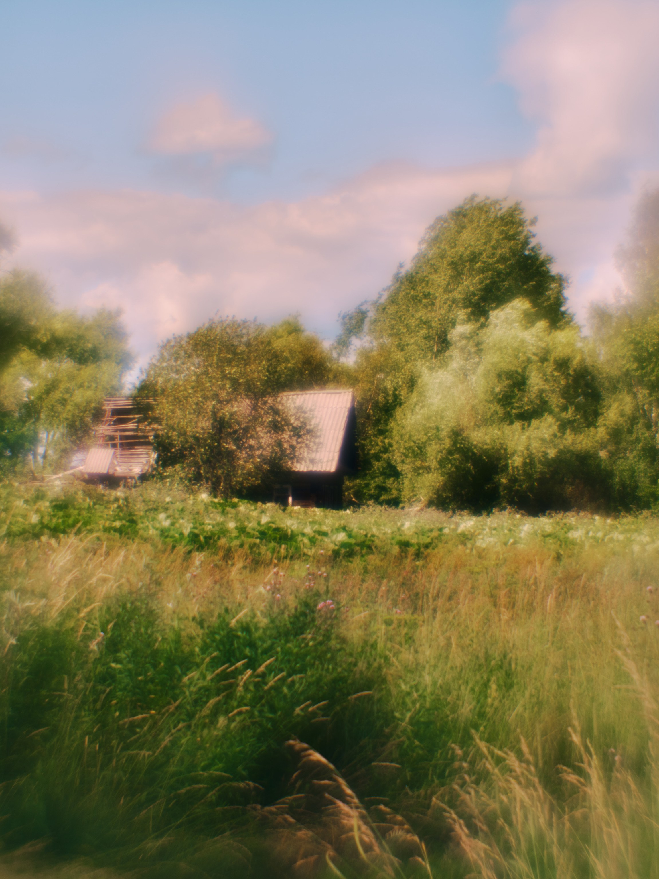 Фотограф Юлия Глазкова