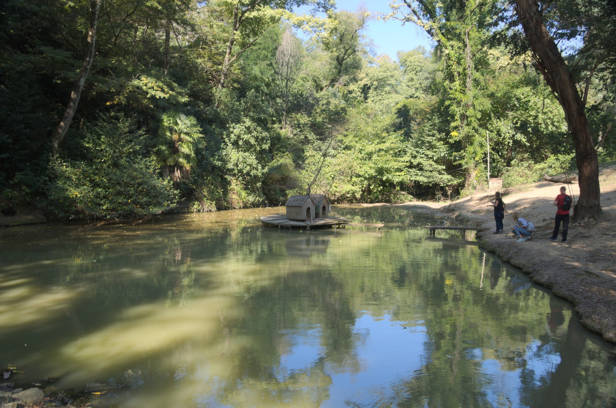 Сочи | 05-06.10.2019. Галерея Фантим