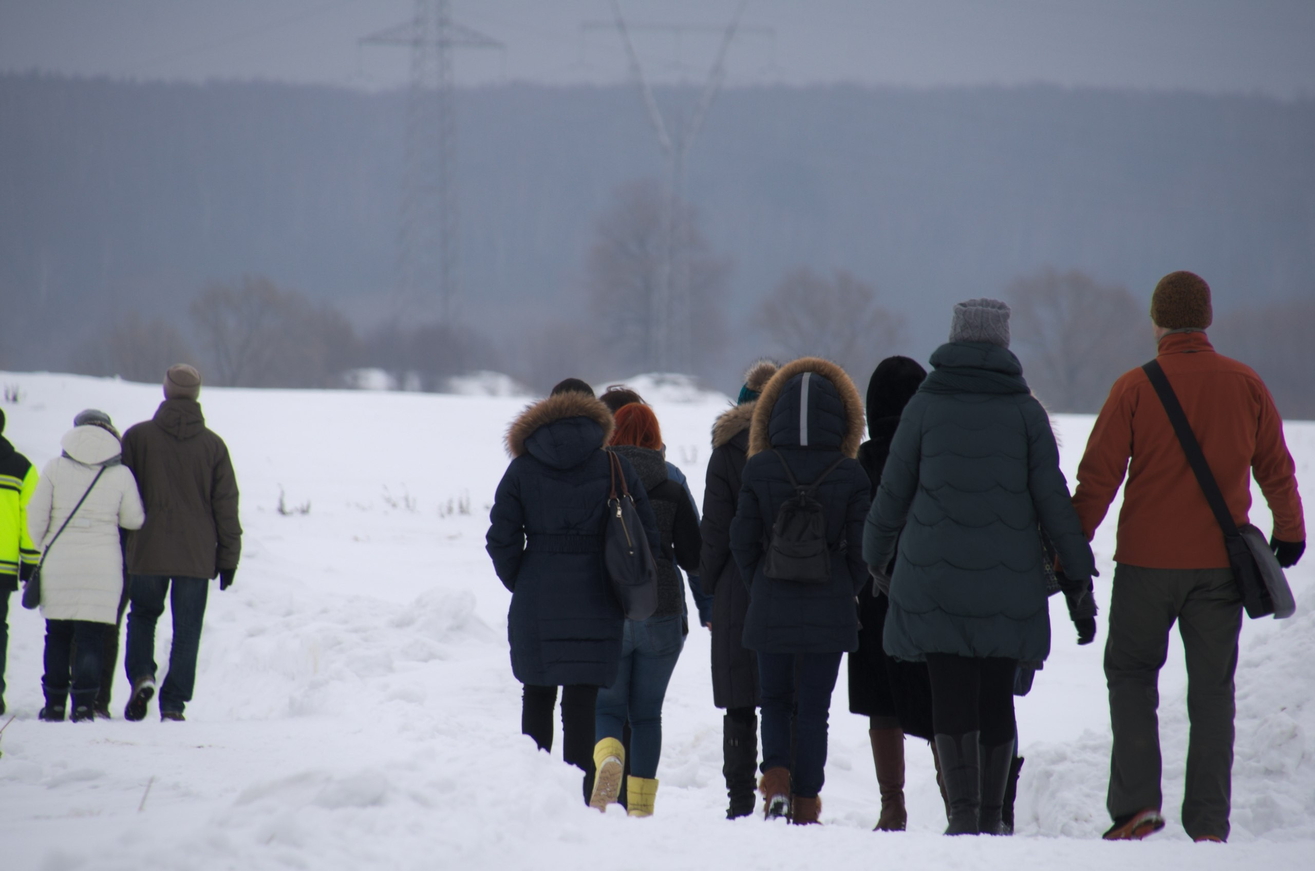 Владимир+Суздаль | 18-19.02.2017. Галерея Фантим
