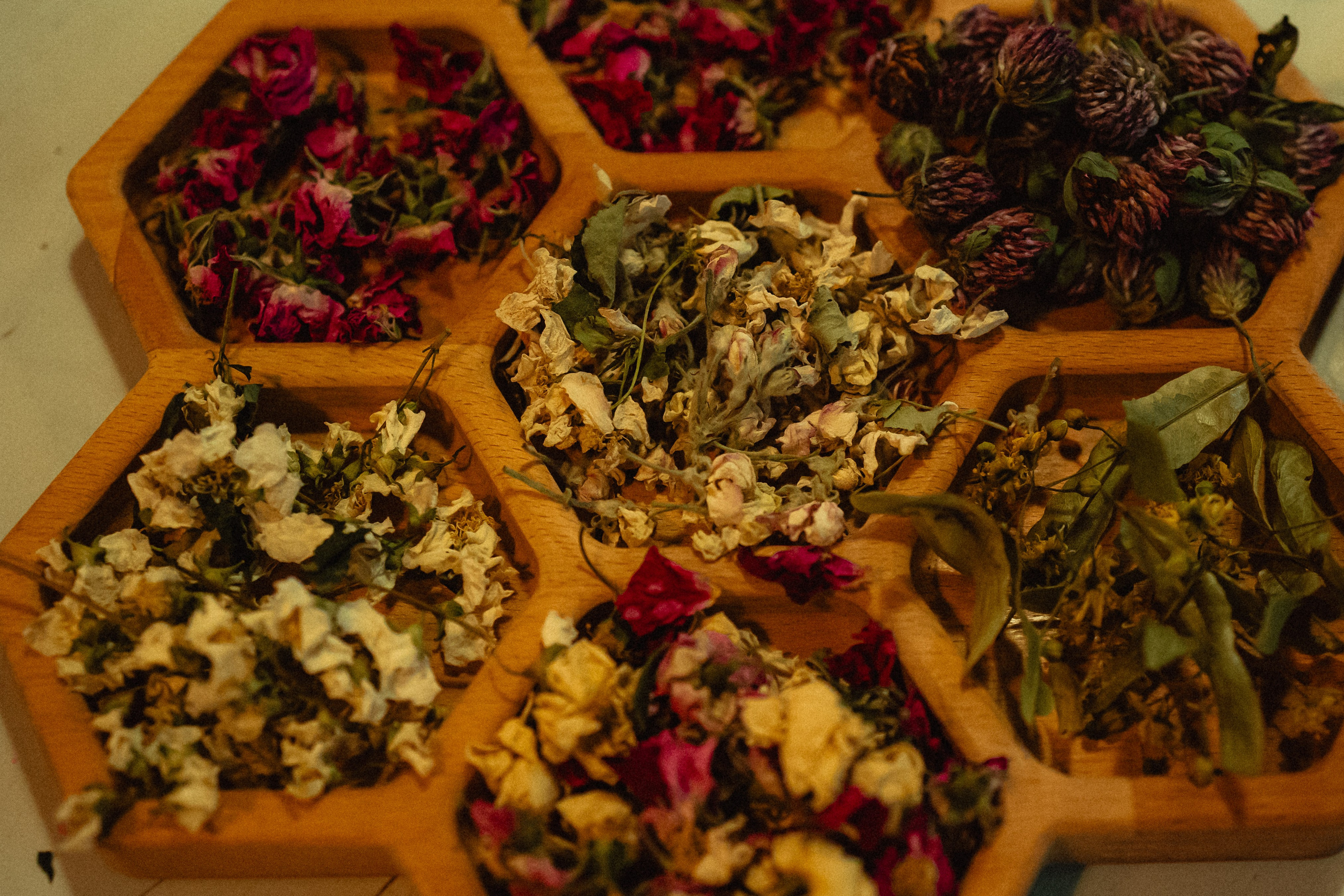 Выездной дог-тренинг от школы «Шерсть имею»