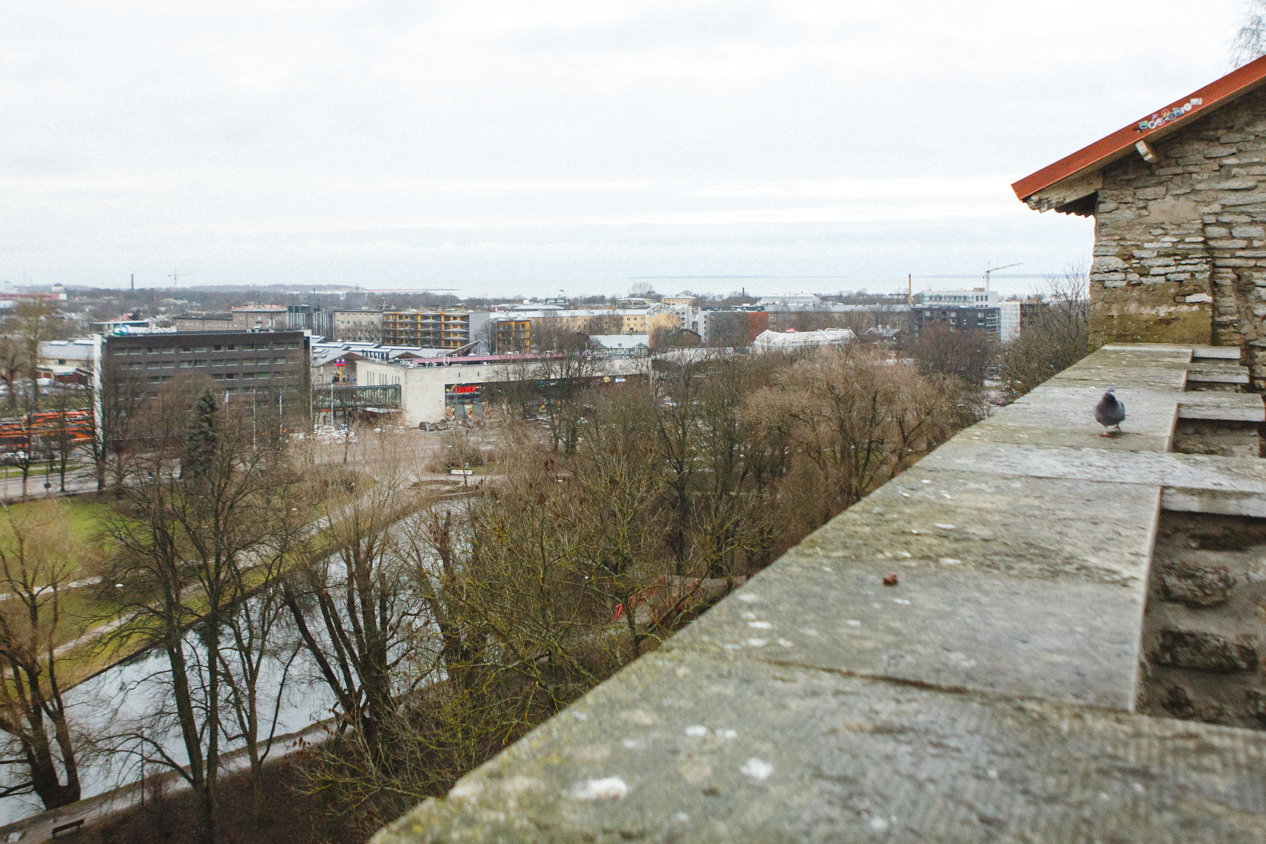 Путешествие в Таллин зимой, отчет о путешествии в Таллин зимой. Свадебный фотограф в Санкт-Петербурге Никита Кузякин