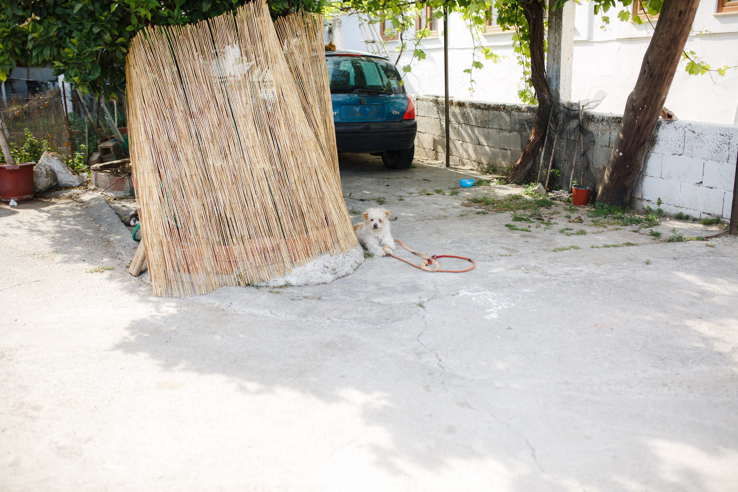 Путешествие на остров Родос, Греция. Блог о путешествии в Грецию. Свадебный фотограф в Санкт-Петербурге Никита Кузякин