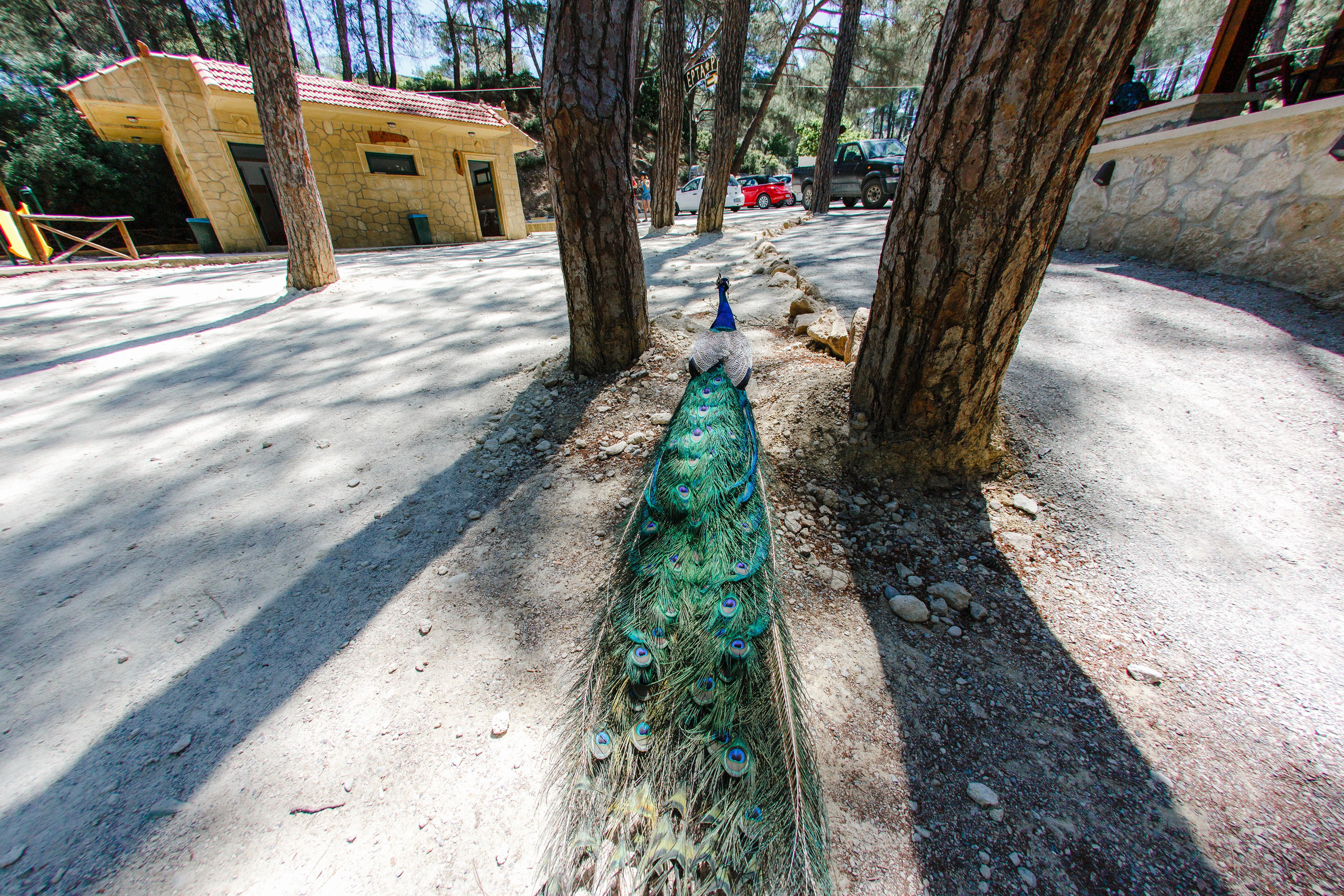 Путешествие на остров Родос, Греция. Блог о путешествии в Грецию. Свадебный фотограф в Санкт-Петербурге Никита Кузякин