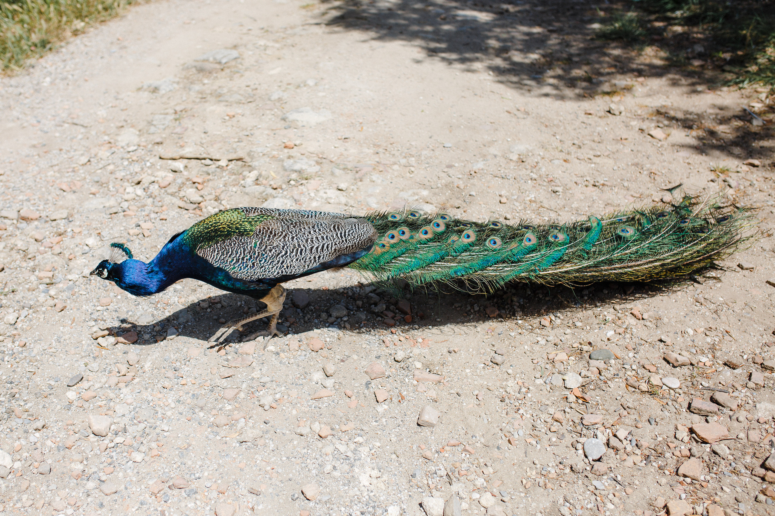 Путешествие на остров Родос, Греция. Блог о путешествии в Грецию. Свадебный фотограф в Санкт-Петербурге Никита Кузякин