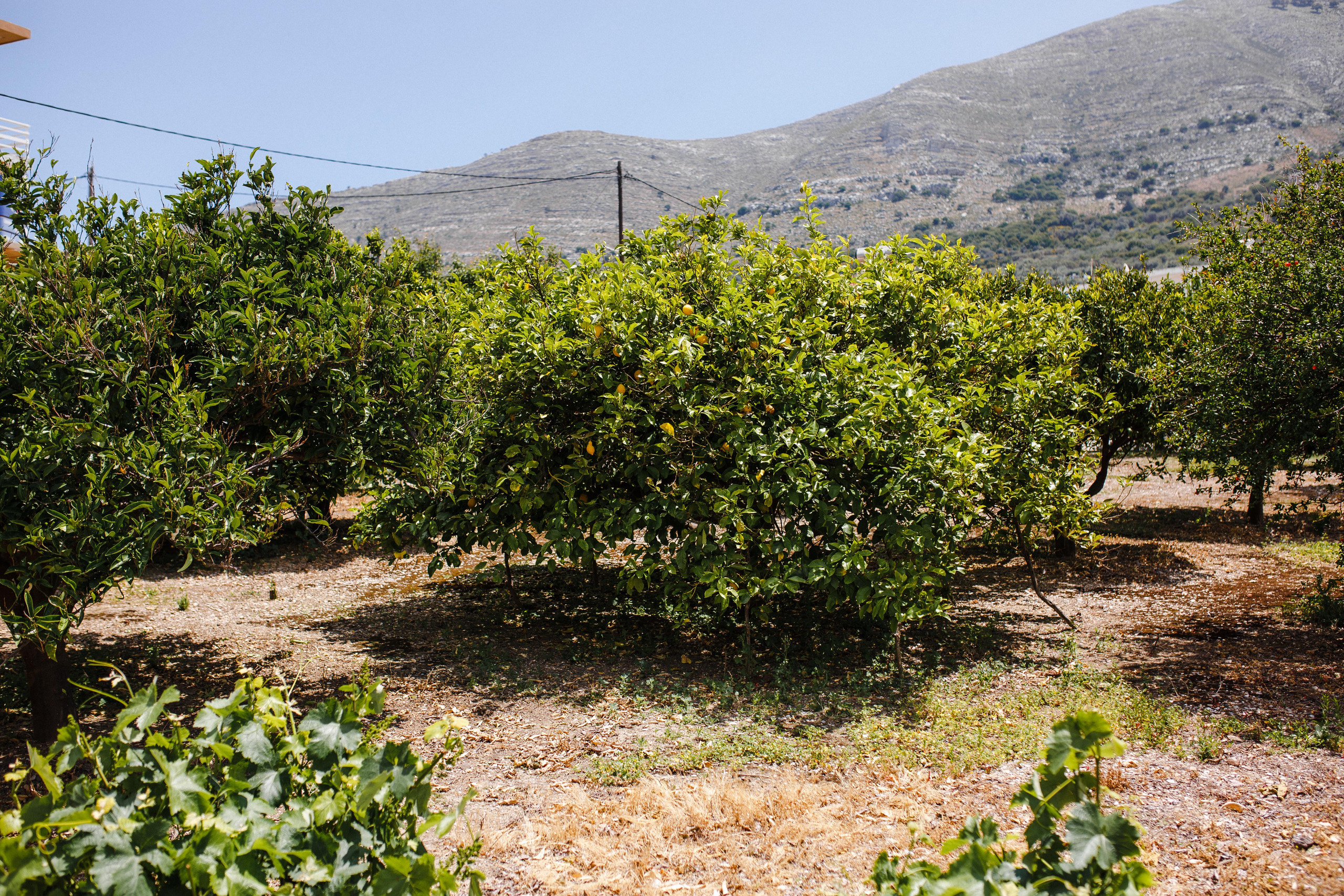 Путешествие на остров Родос, Греция. Блог о путешествии в Грецию. Свадебный фотограф в Санкт-Петербурге Никита Кузякин
