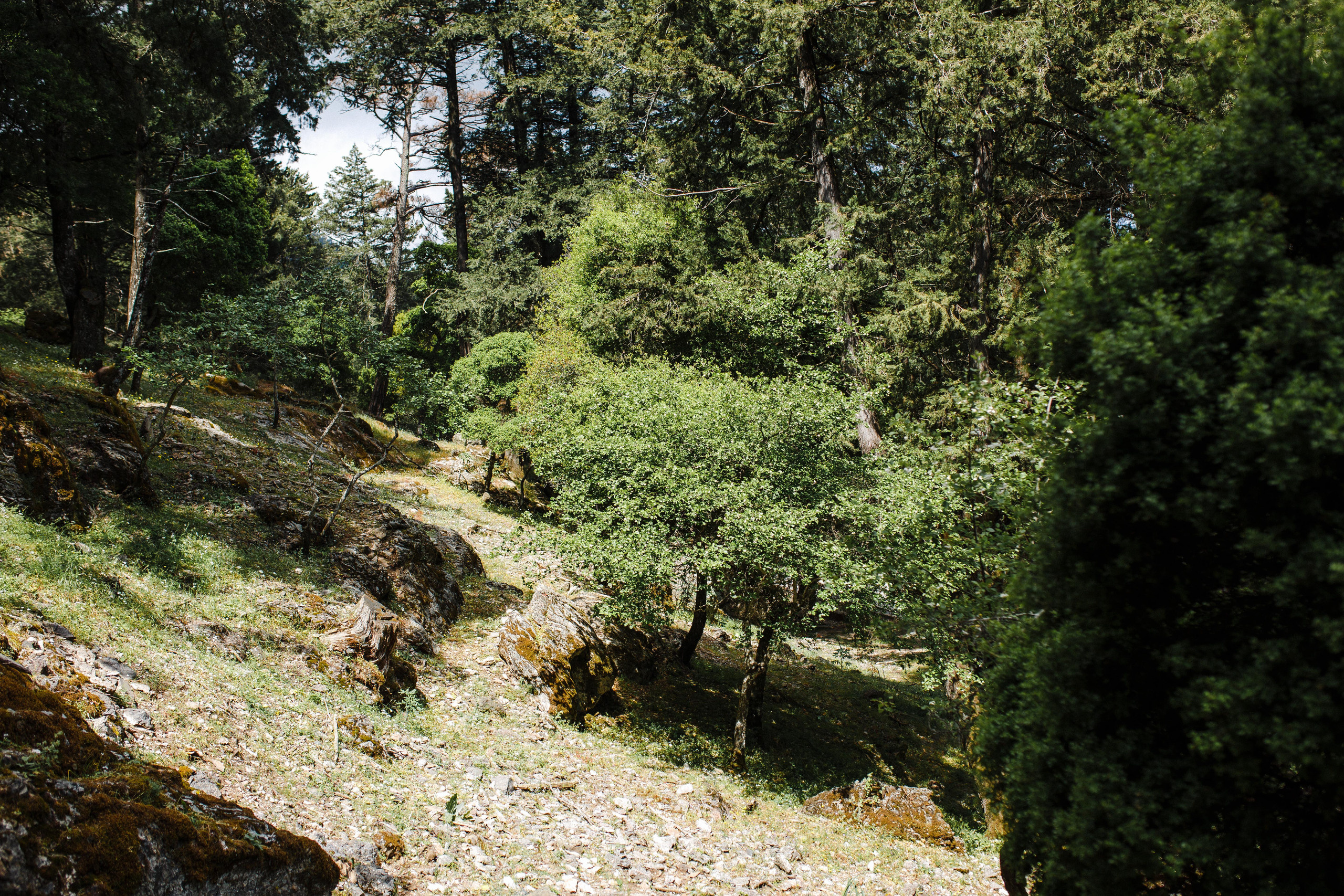 Путешествие на остров Родос, Греция. Блог о путешествии в Грецию. Свадебный фотограф в Санкт-Петербурге Никита Кузякин