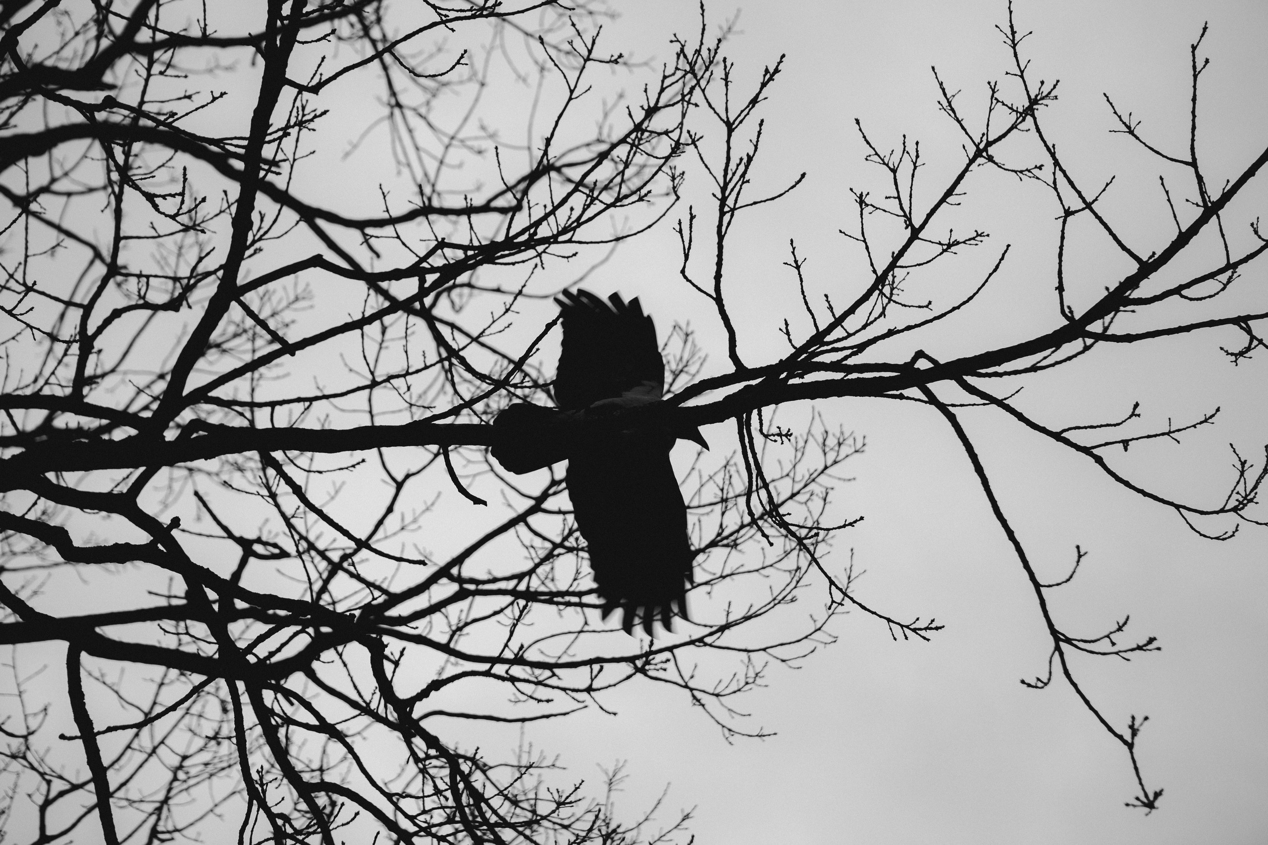 Путешествие в Таллин зимой, отчет о путешествии в Таллин зимой. Свадебный фотограф в Санкт-Петербурге Никита Кузякин