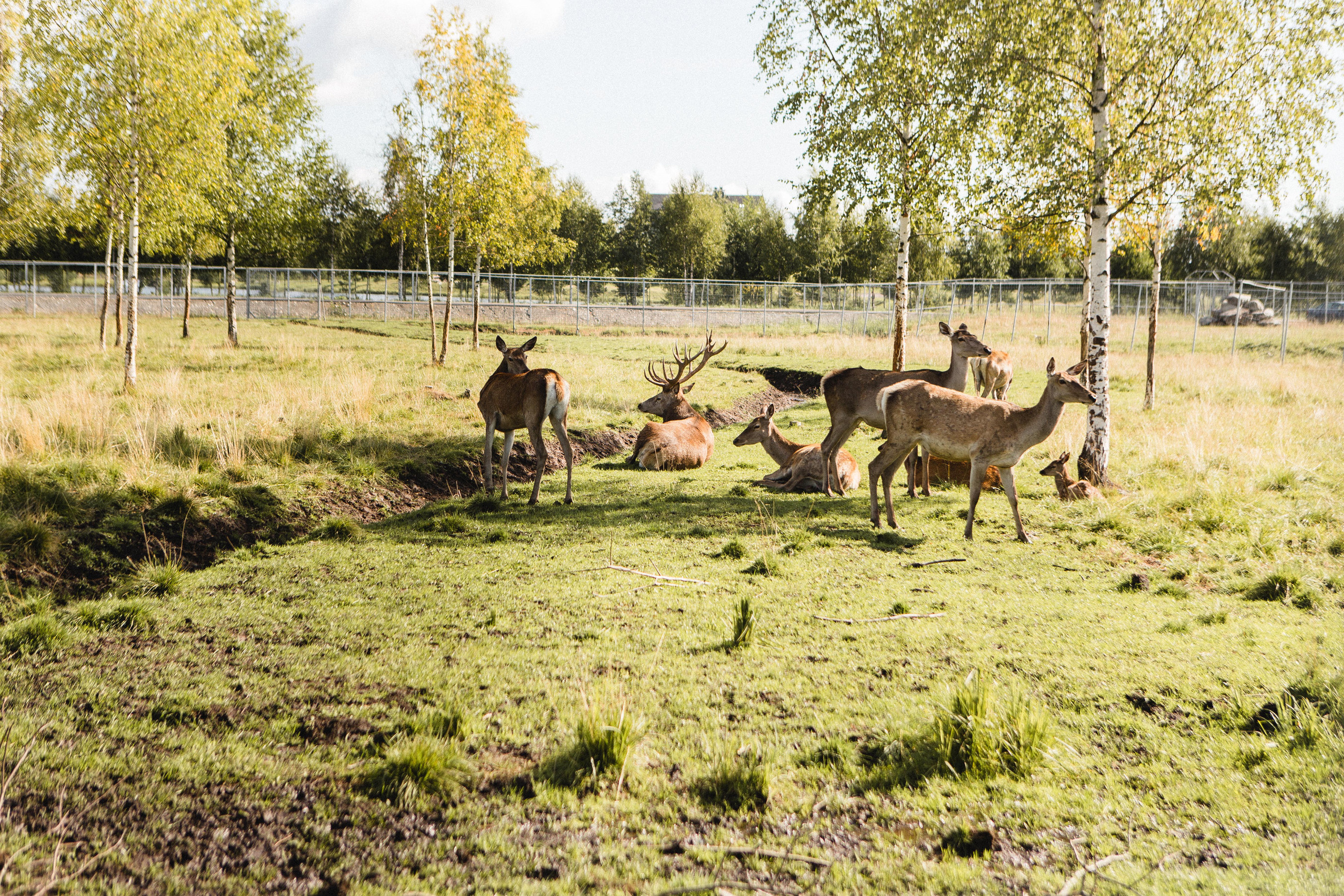 Поездка в Карелию, фототчет с поездки в Карелию. Свадебный фотограф в Санкт-Петербурге Никита Кузякин
