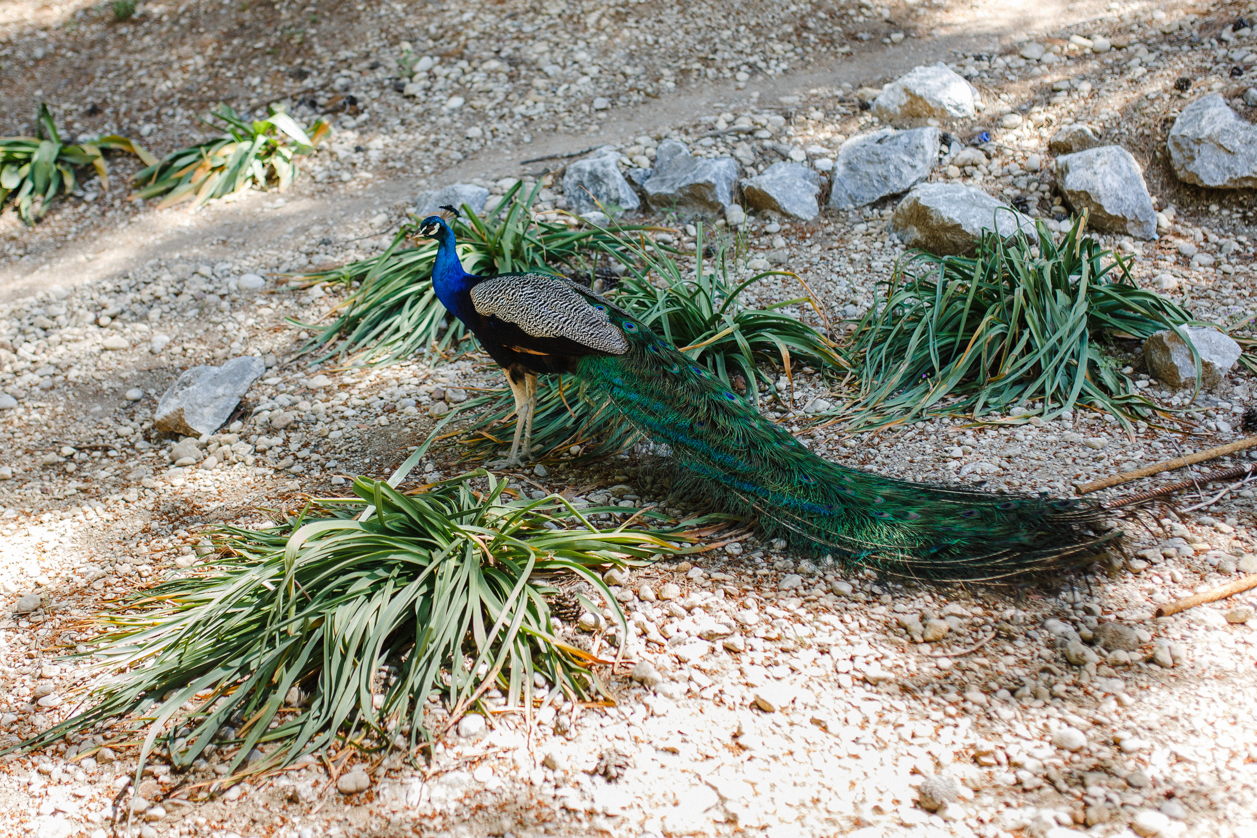 Путешествие на остров Родос, Греция. Блог о путешествии в Грецию. Свадебный фотограф в Санкт-Петербурге Никита Кузякин