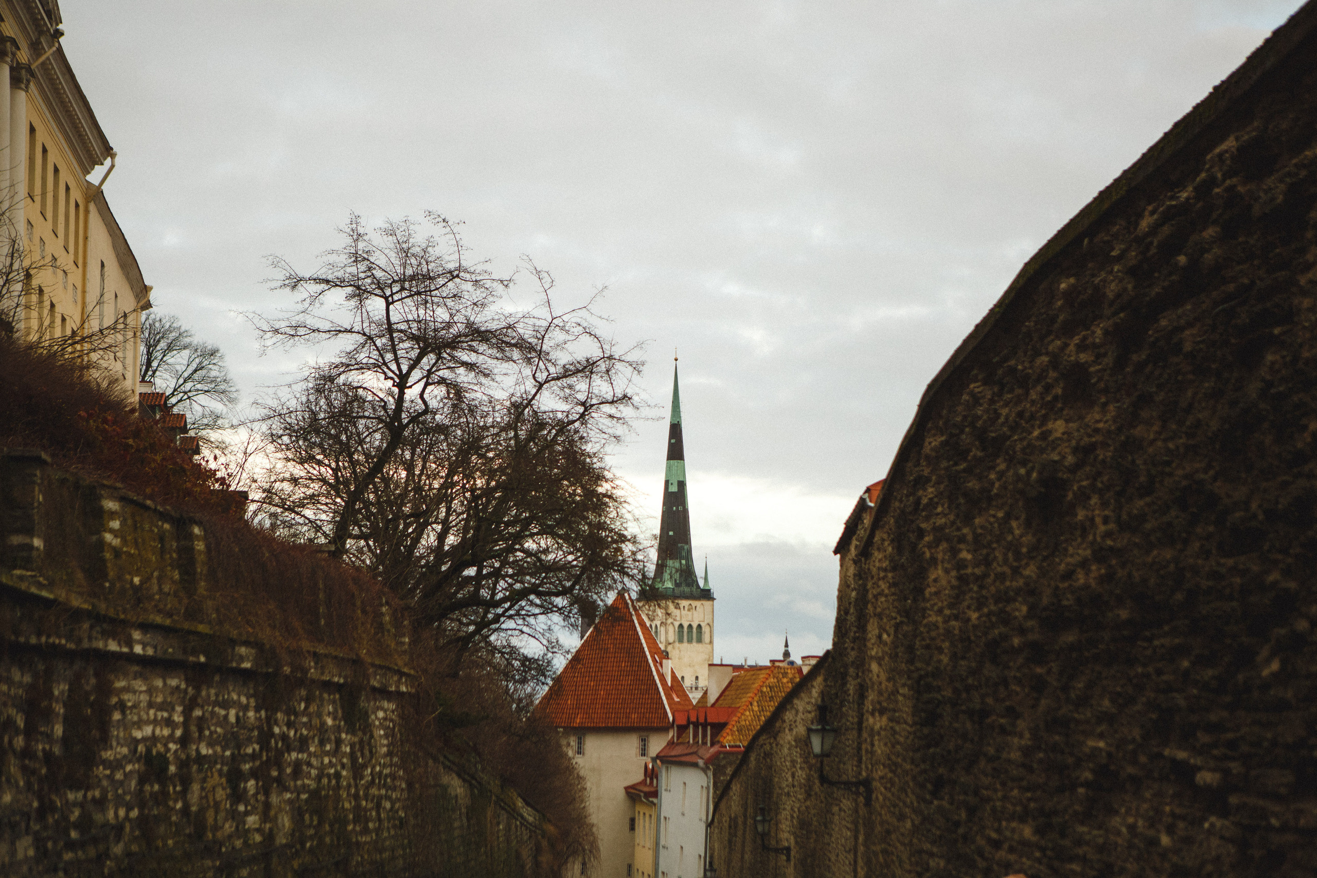 Путешествие в Таллин зимой, отчет о путешествии в Таллин зимой. Свадебный фотограф в Санкт-Петербурге Никита Кузякин